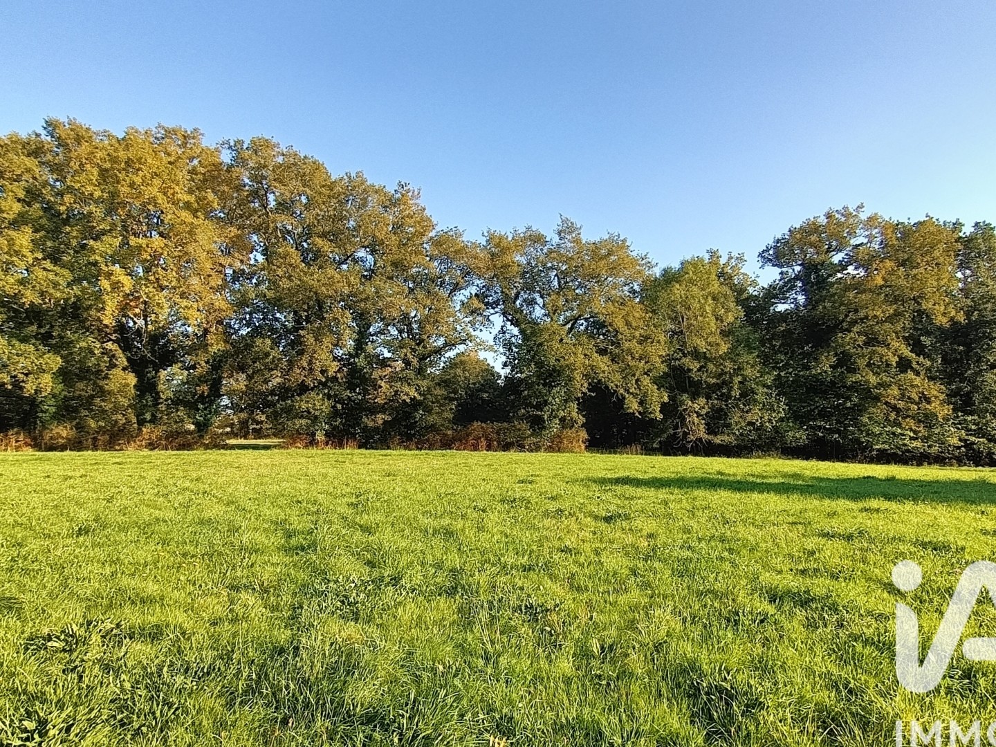 Terrain 88636 m²