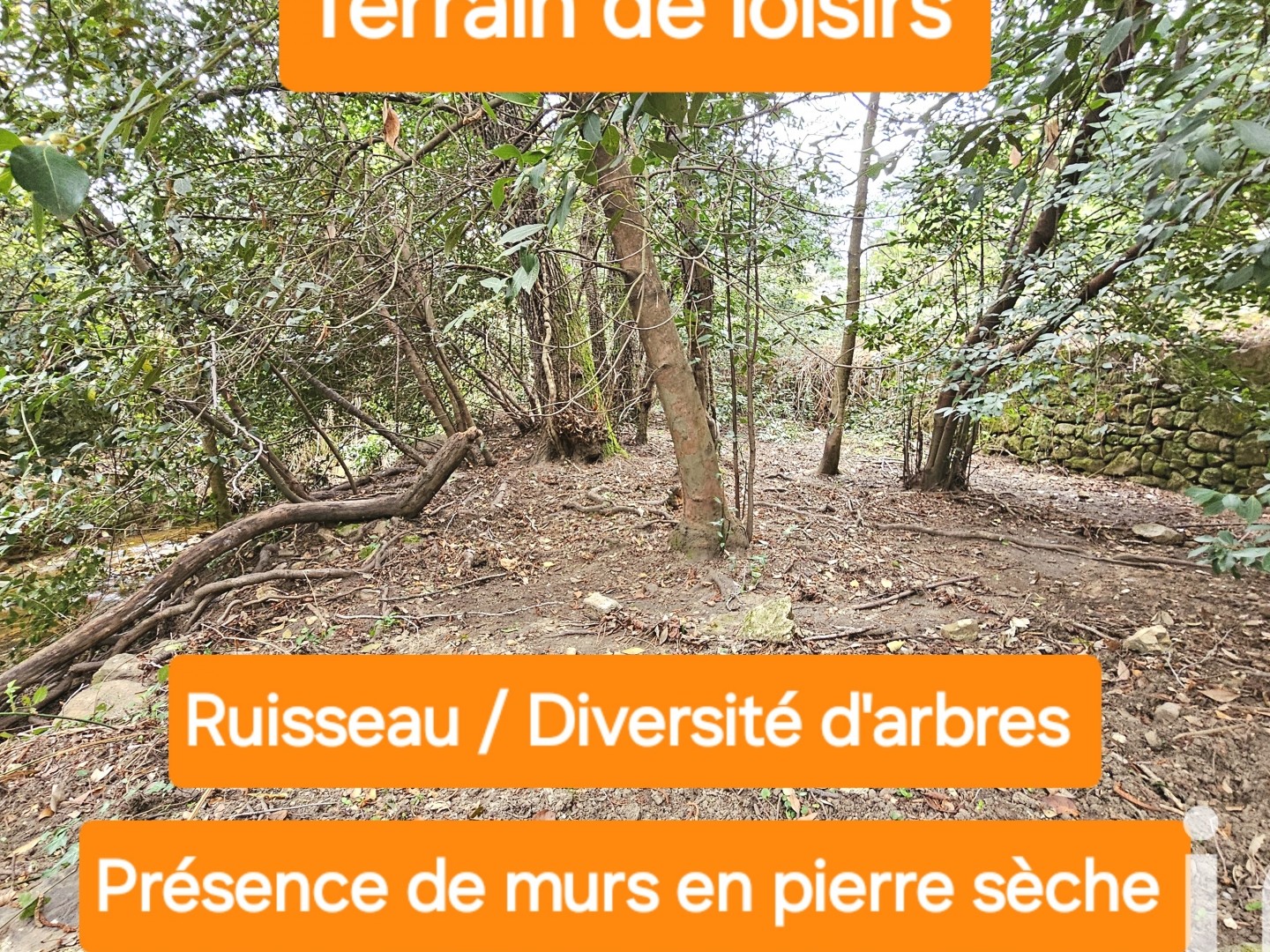 Terrain 3550 m²