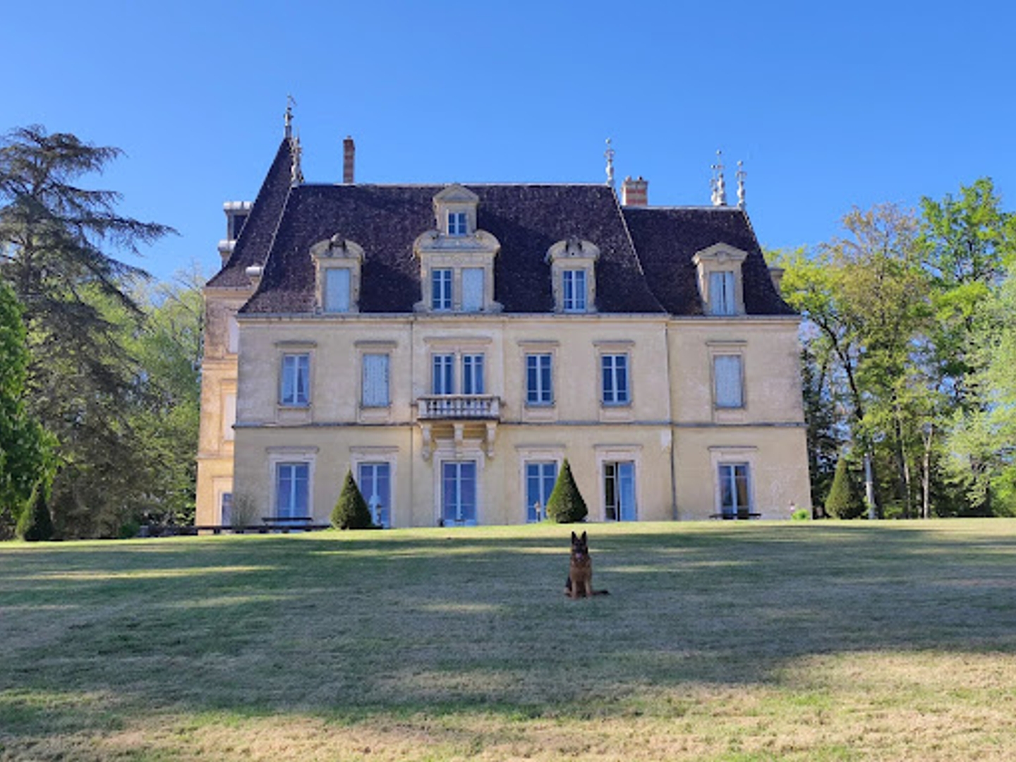 Maison à vendre - 1300m2 - Pont-D'ain (01160)