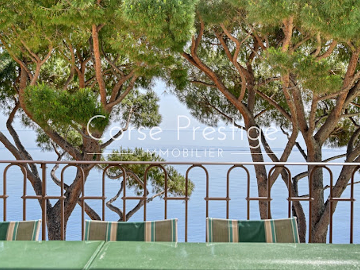 Maison à vendre - 15 pièces - 458m2 - Bastia (20200)