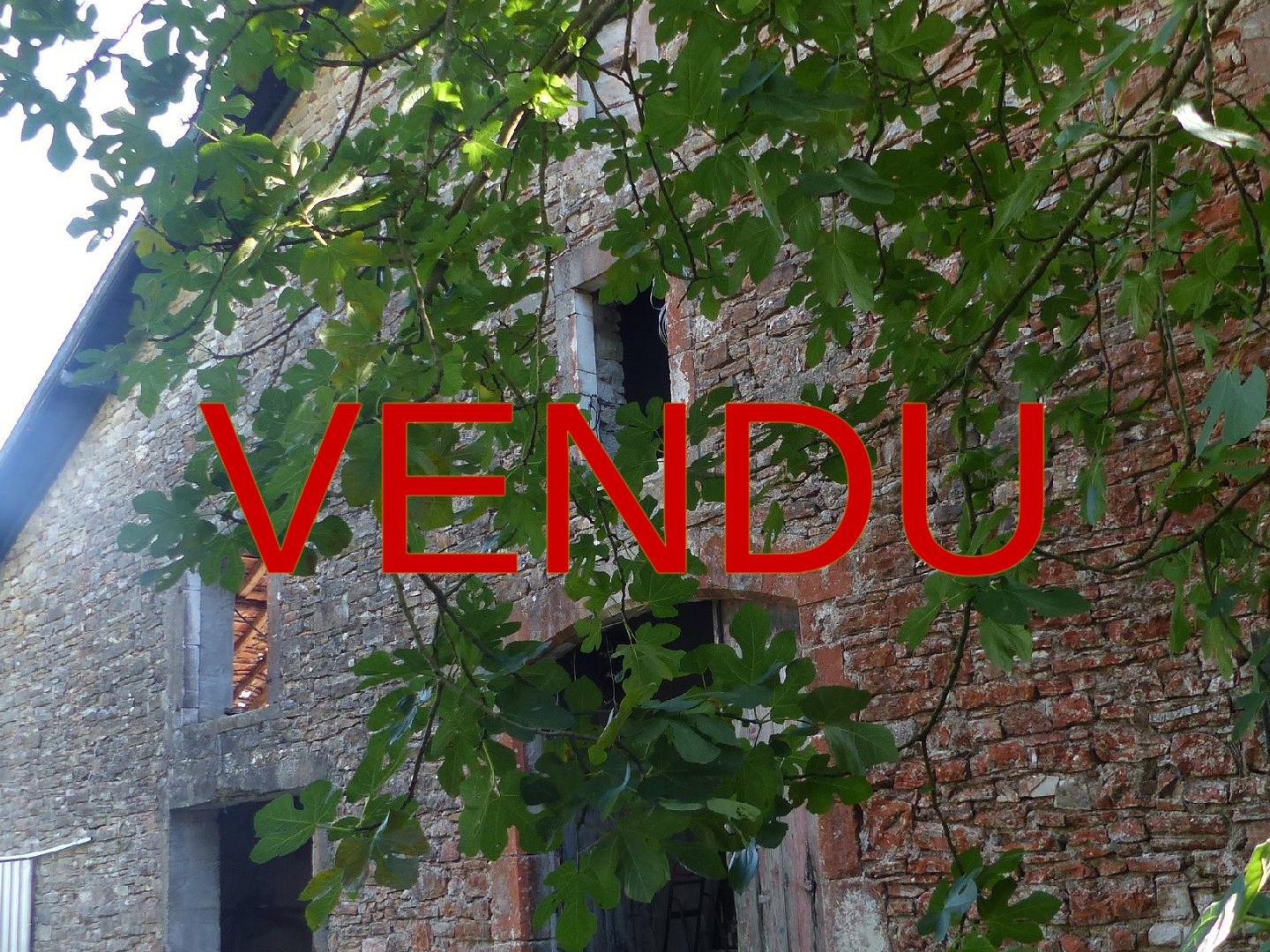 FERME AVEC 4 HECTARES VENDUE