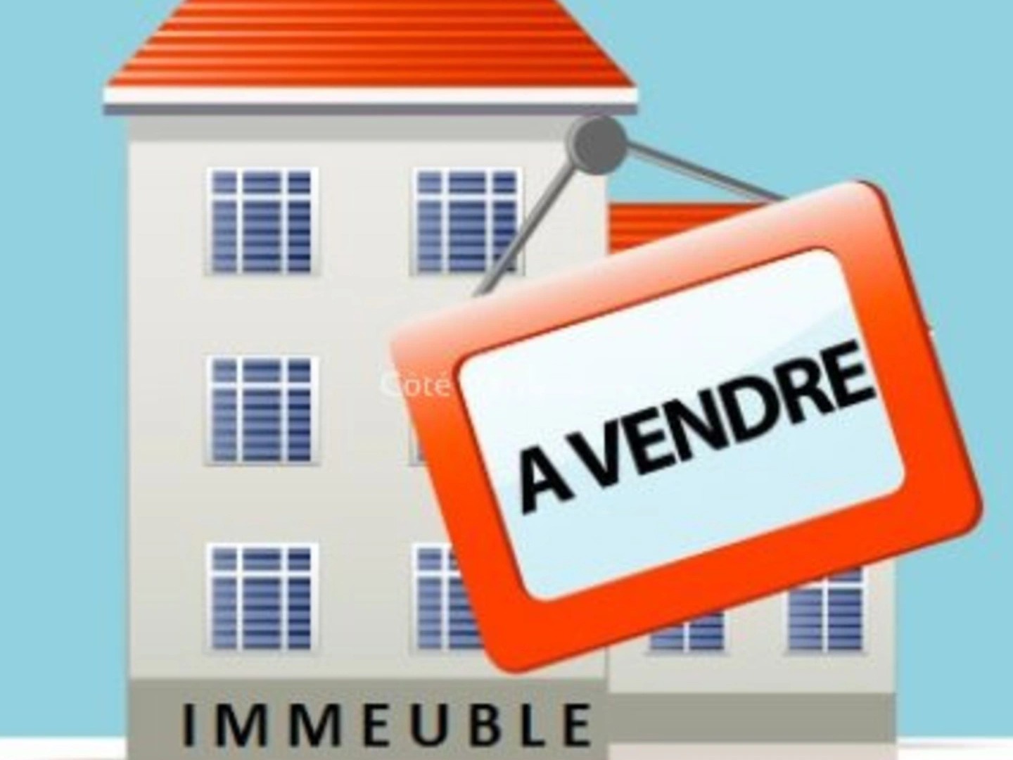Immeuble 14 pièces 220 m²