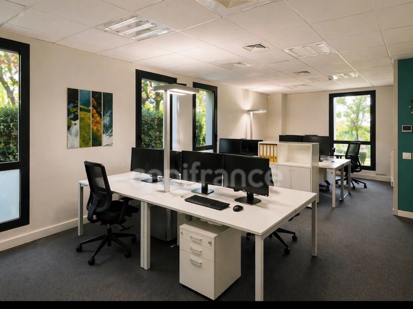 Commerce 6 pièces 204 m²