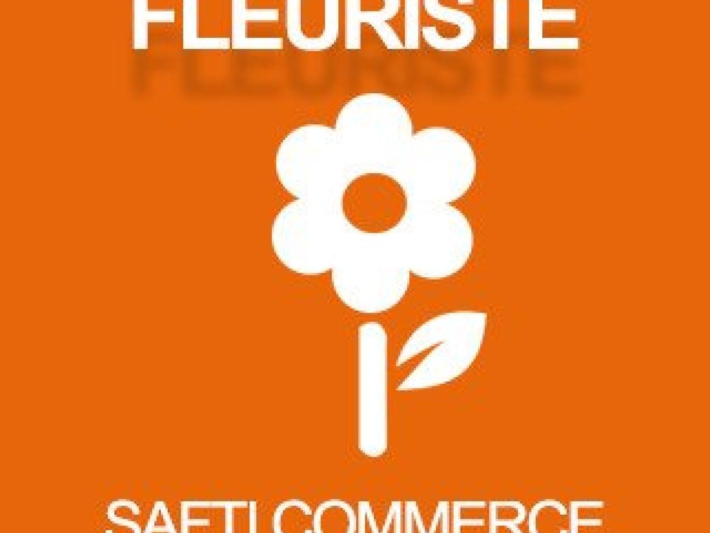 DIJON Centre ville - Commerce de Fleurs