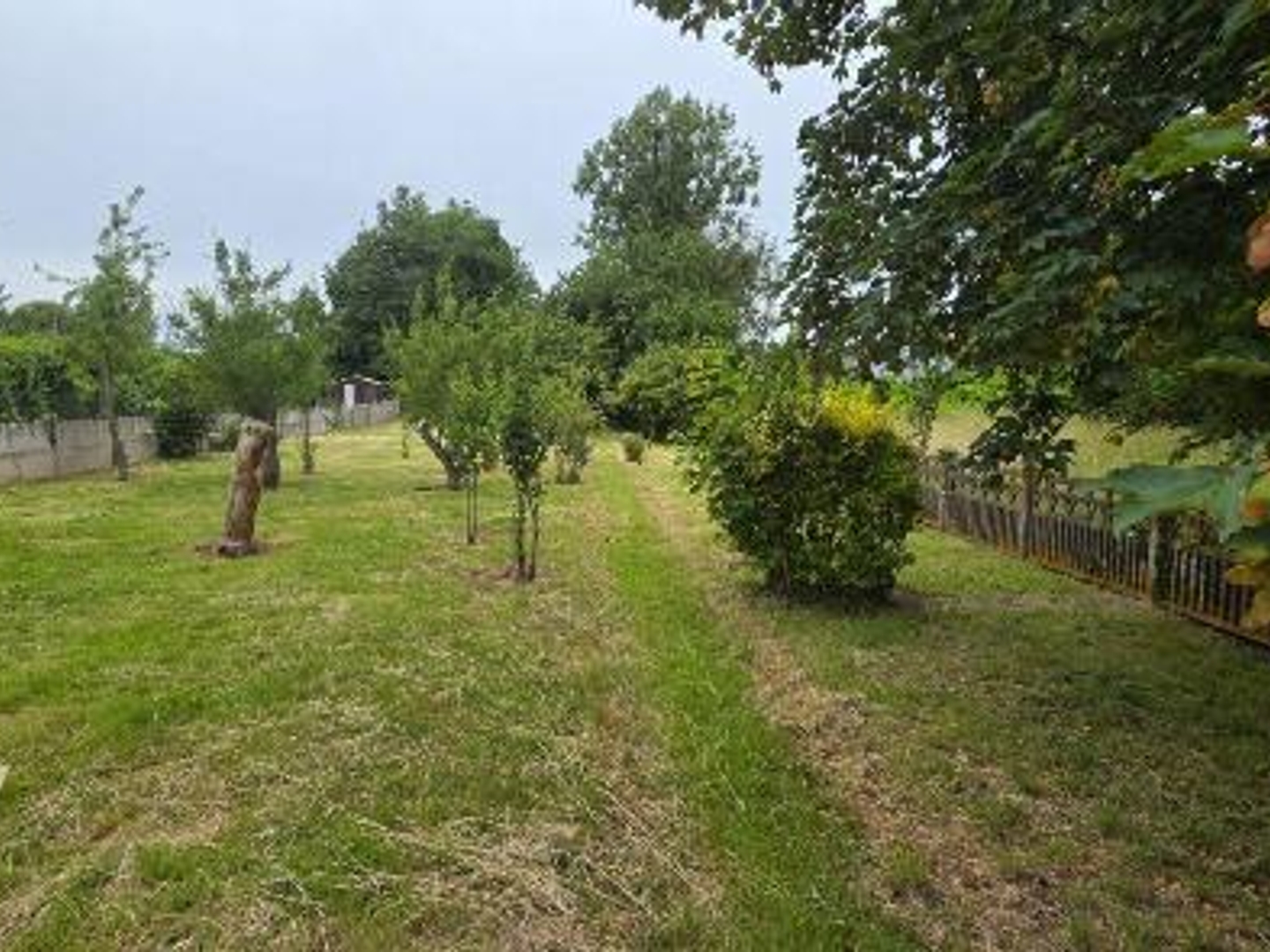Maison à vendre - 5 pièces - 118m2 - Condé-Sur-L'escaut (59163)