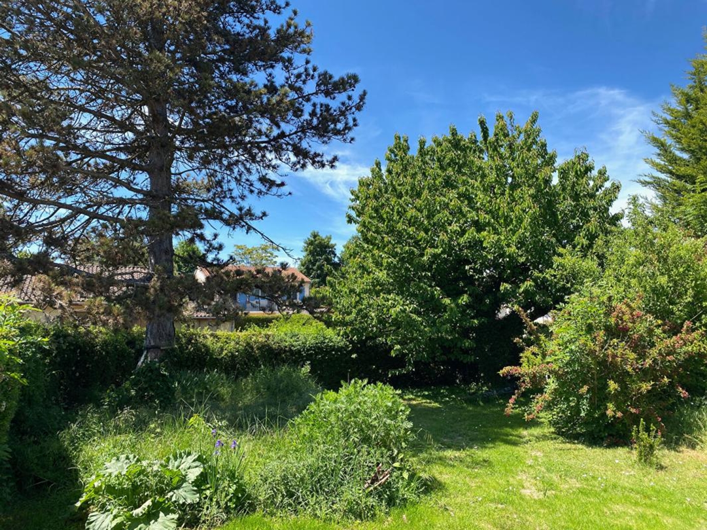 Maison à vendre - 8 pièces - 150m2 - Cluny (71250)