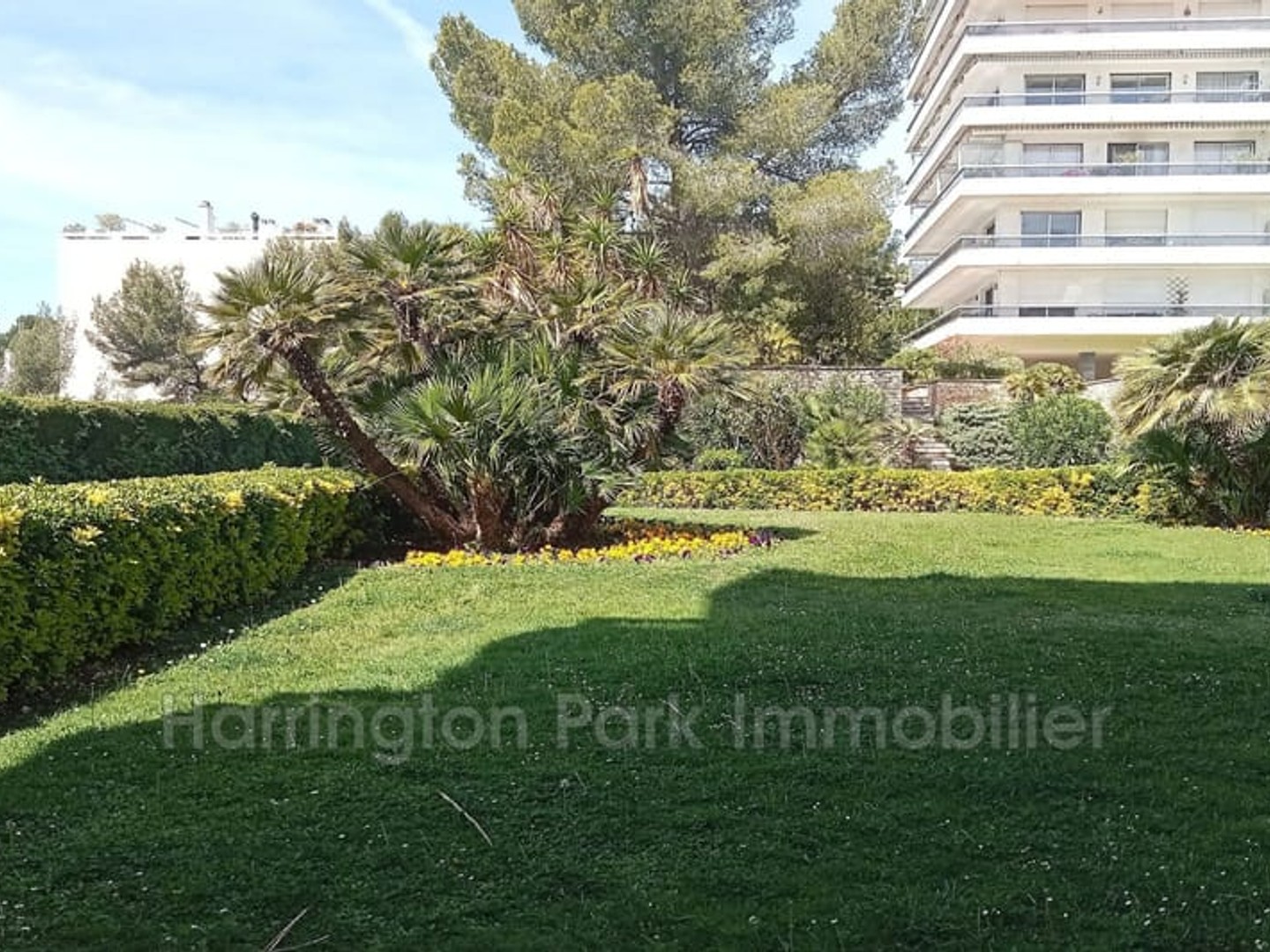 vente appartement