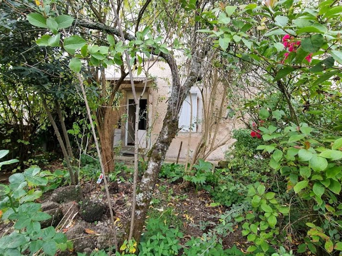 Maison à vendre - 4 pièces - 100m2 - Saint-Saud-Lacous... (24470)