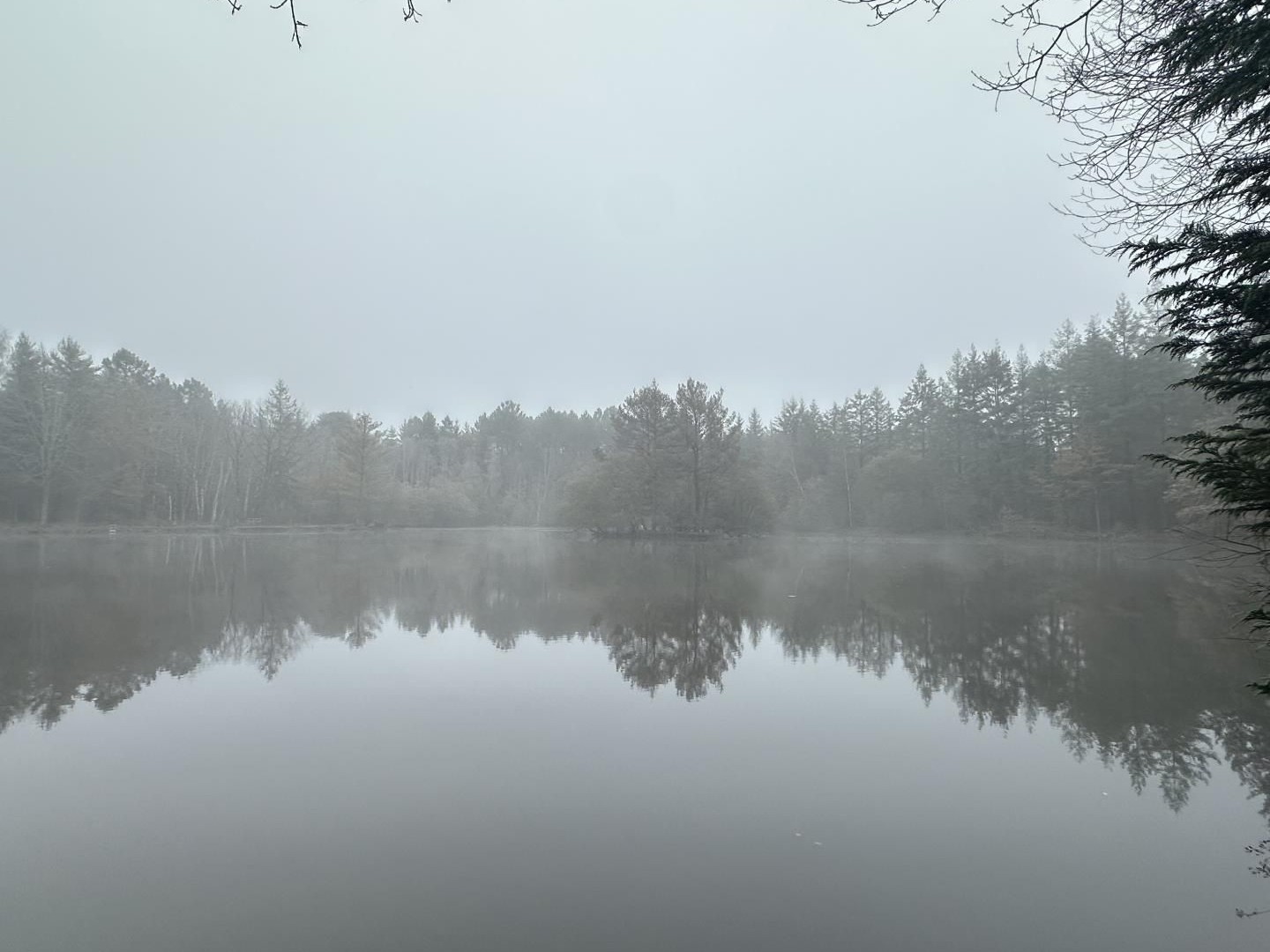 Terrain 201380 m²