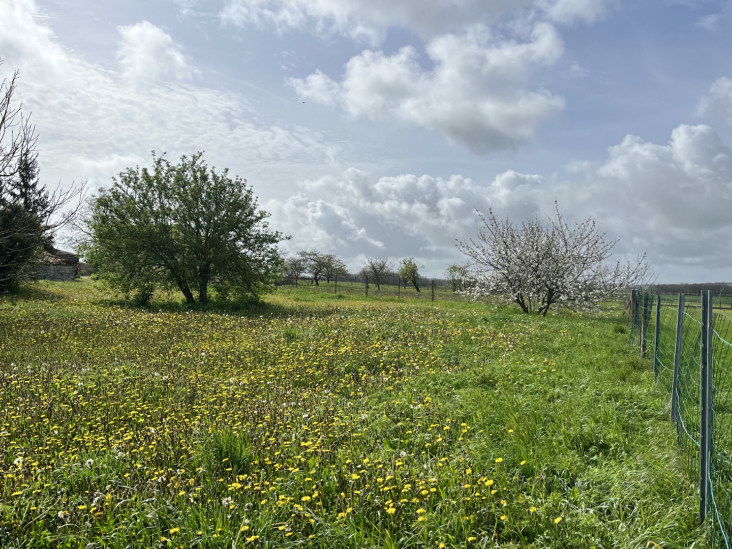 Terrain à bâtir de 2249m2 à acheter à Germignac (17)