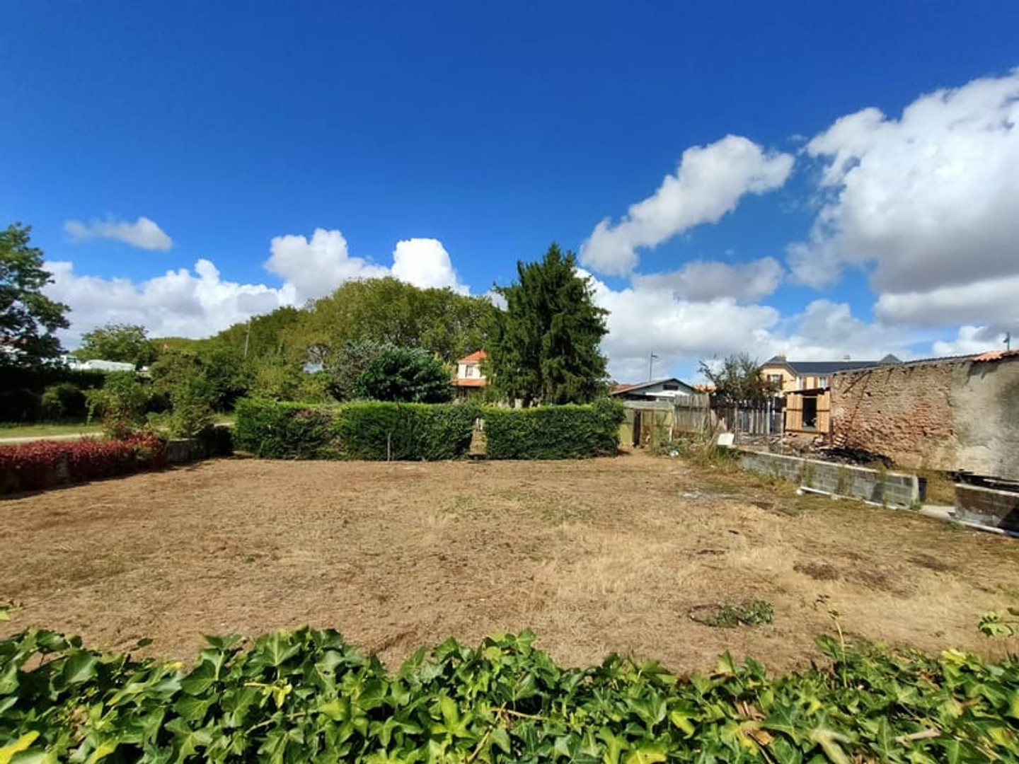 Terrain