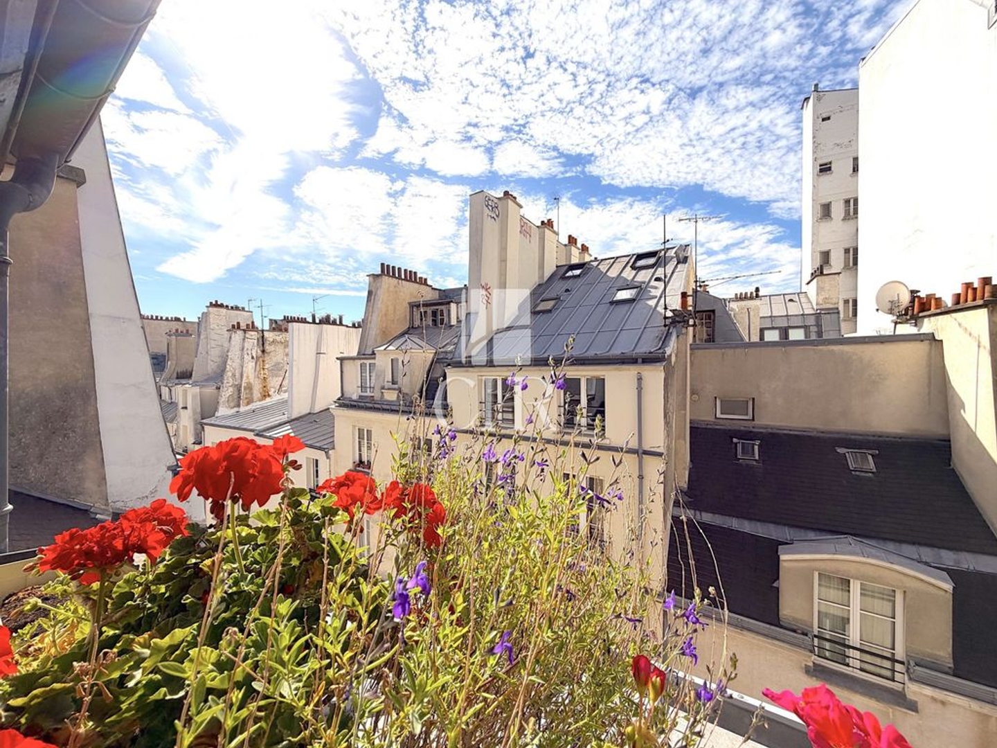 Appartement 3 pièces 56 m²
