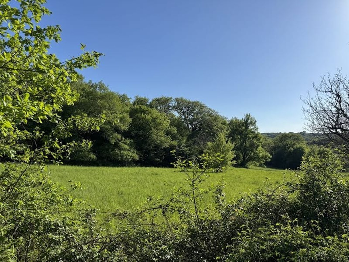 Terrain 5500 m²