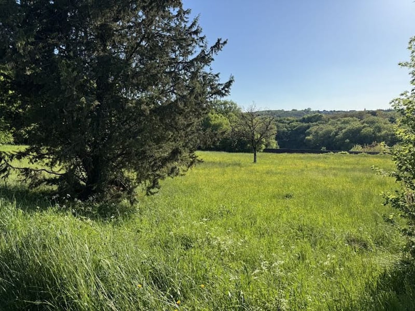 Terrain à vendre - 5500m2 - Cressensac-Sarrazac (46600)