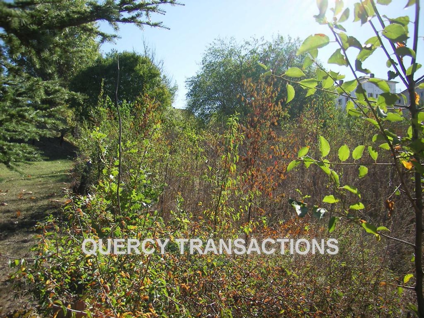 Terrain constructible