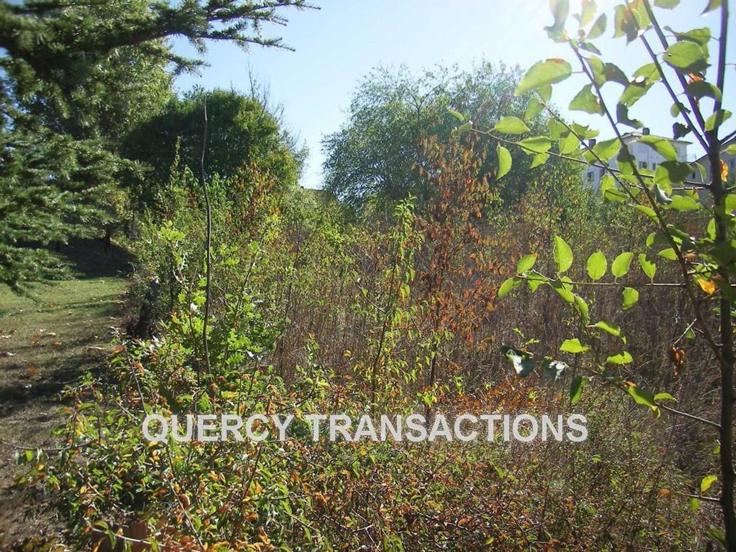 Terrain constructible