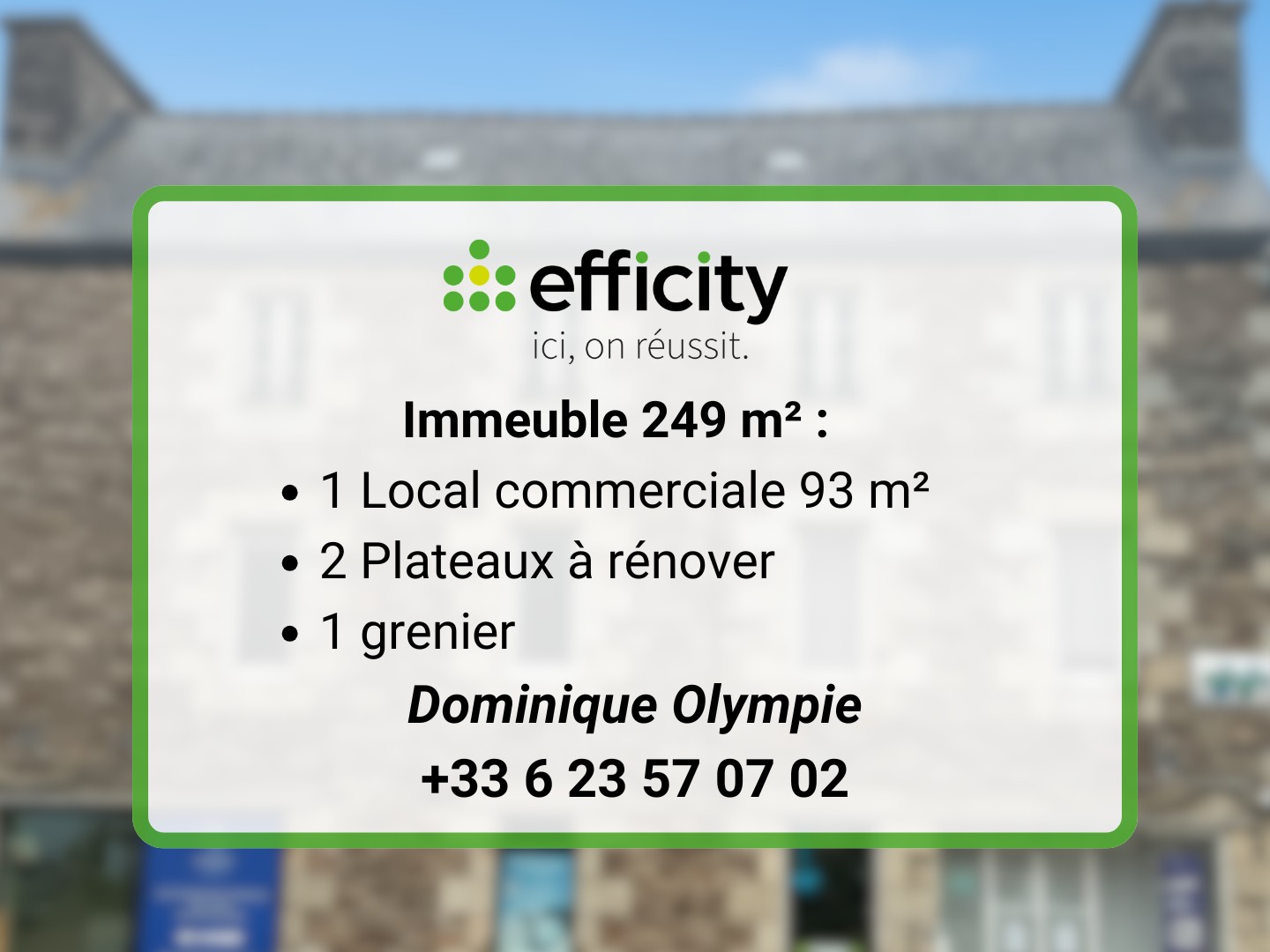Immeuble de rapport 13 pièces 220 m²