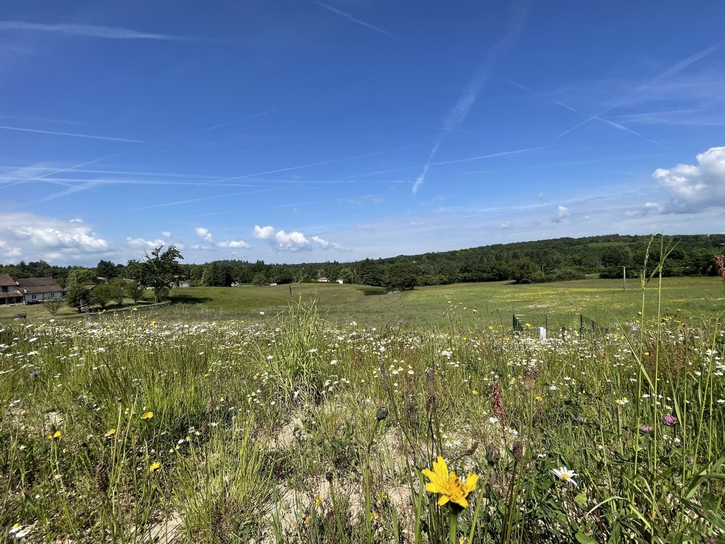 Terrain constructible