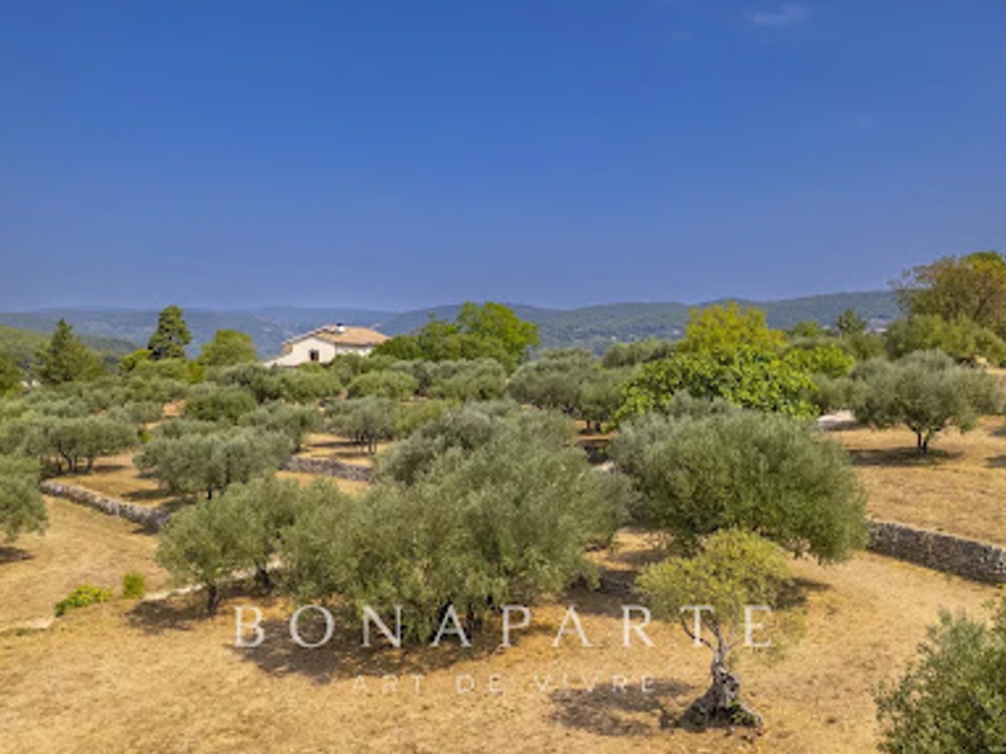 Maison à vendre - 7 pièces - 240m2 - Draguignan (83300)