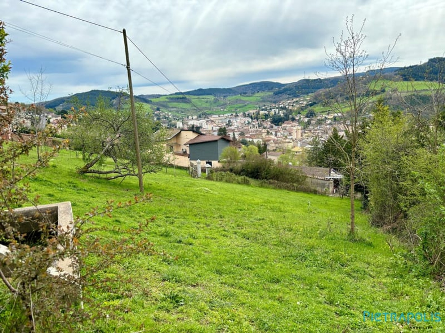 Terrain