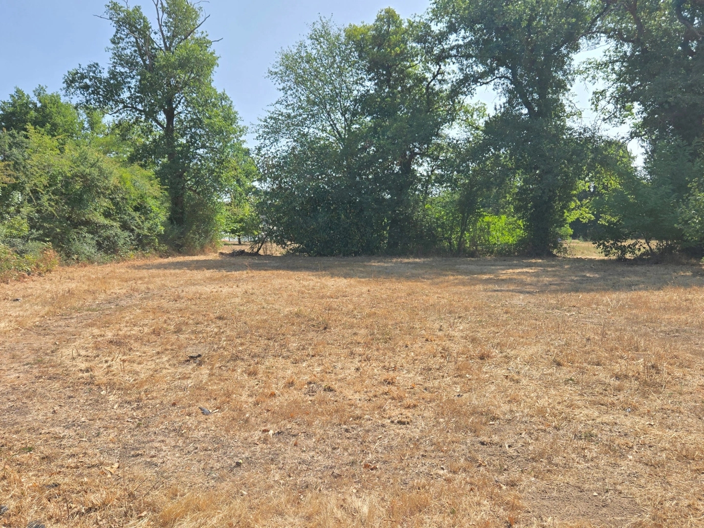 Maison à vendre - 1 pièce - 120m2 - Oradour-Sur-Glane (87520)