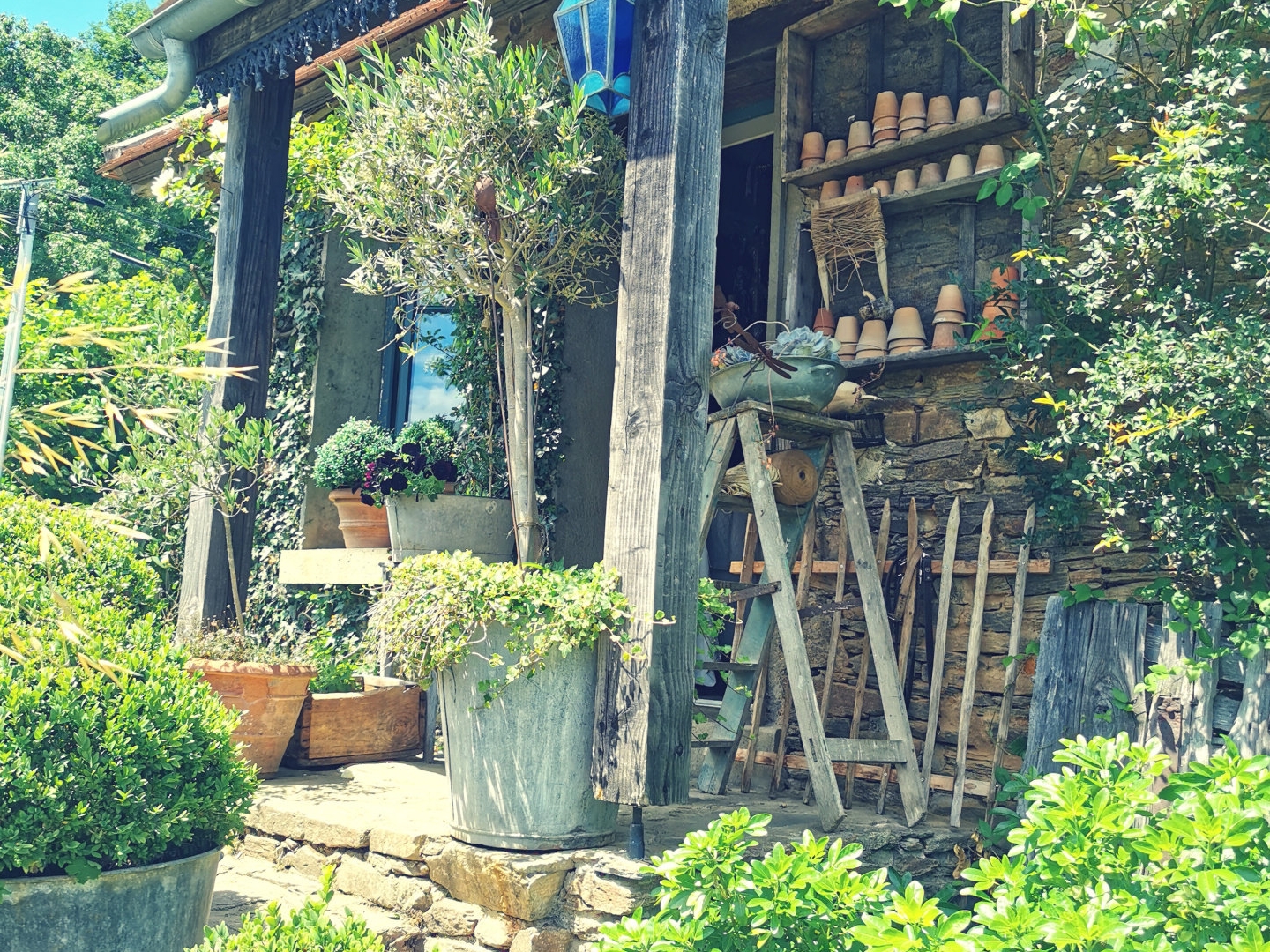 Maison d'artiste avec jardin botanique, source - Terrain 1,6