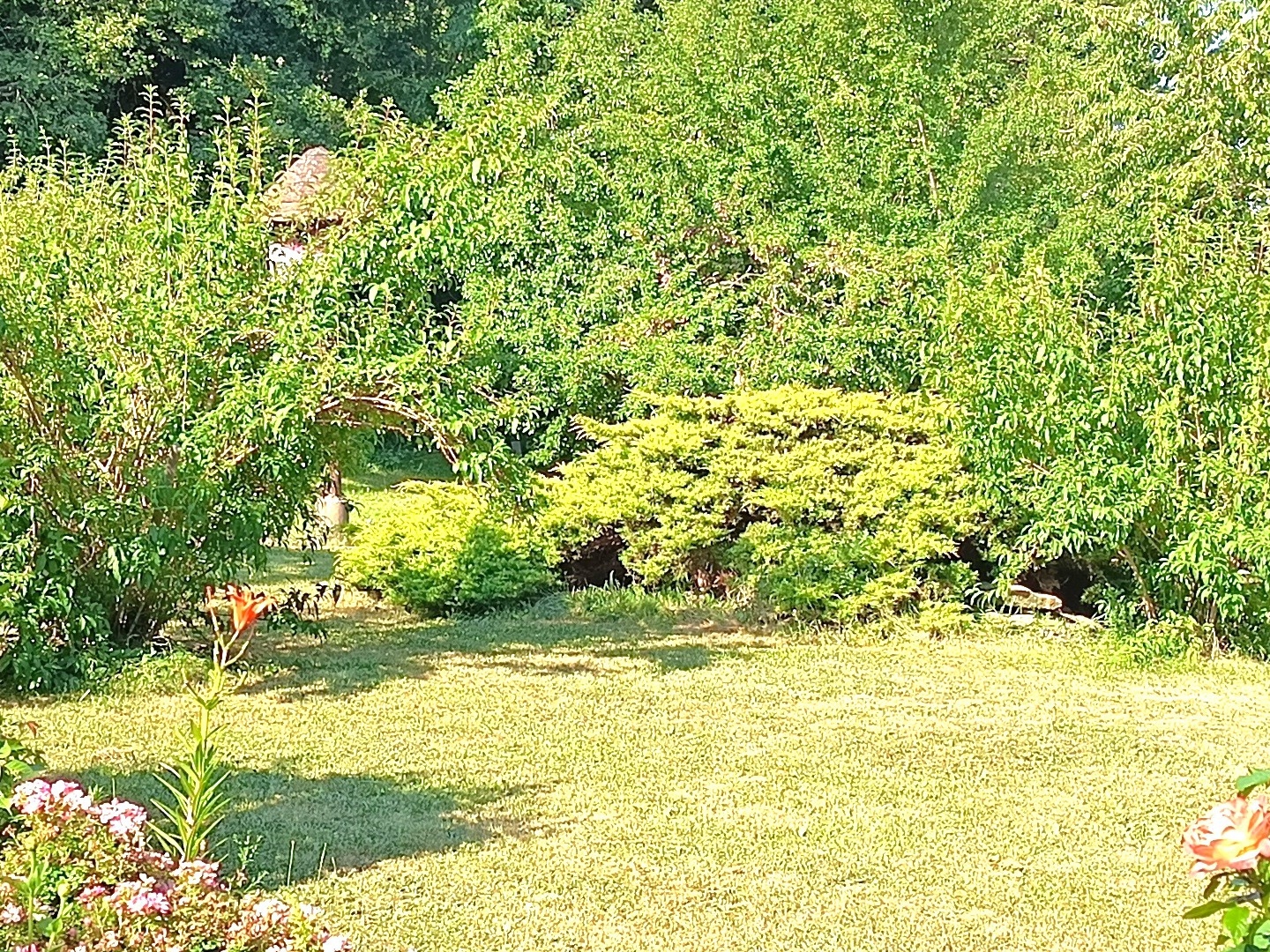 Maison 7 pièces 150 m²