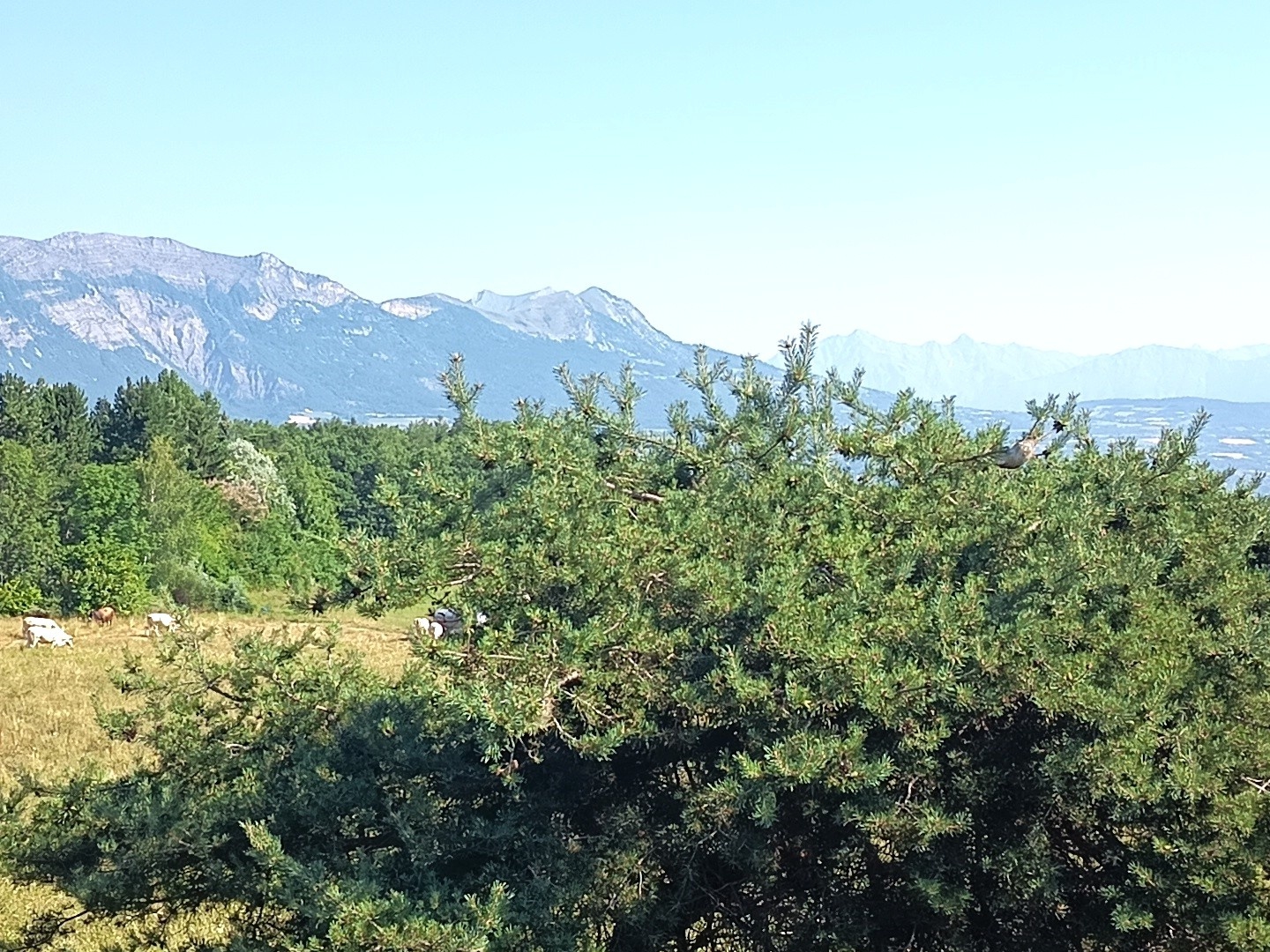 Maison à vendre - 7 pièces - 150m2 - Châteauvieux (05000)