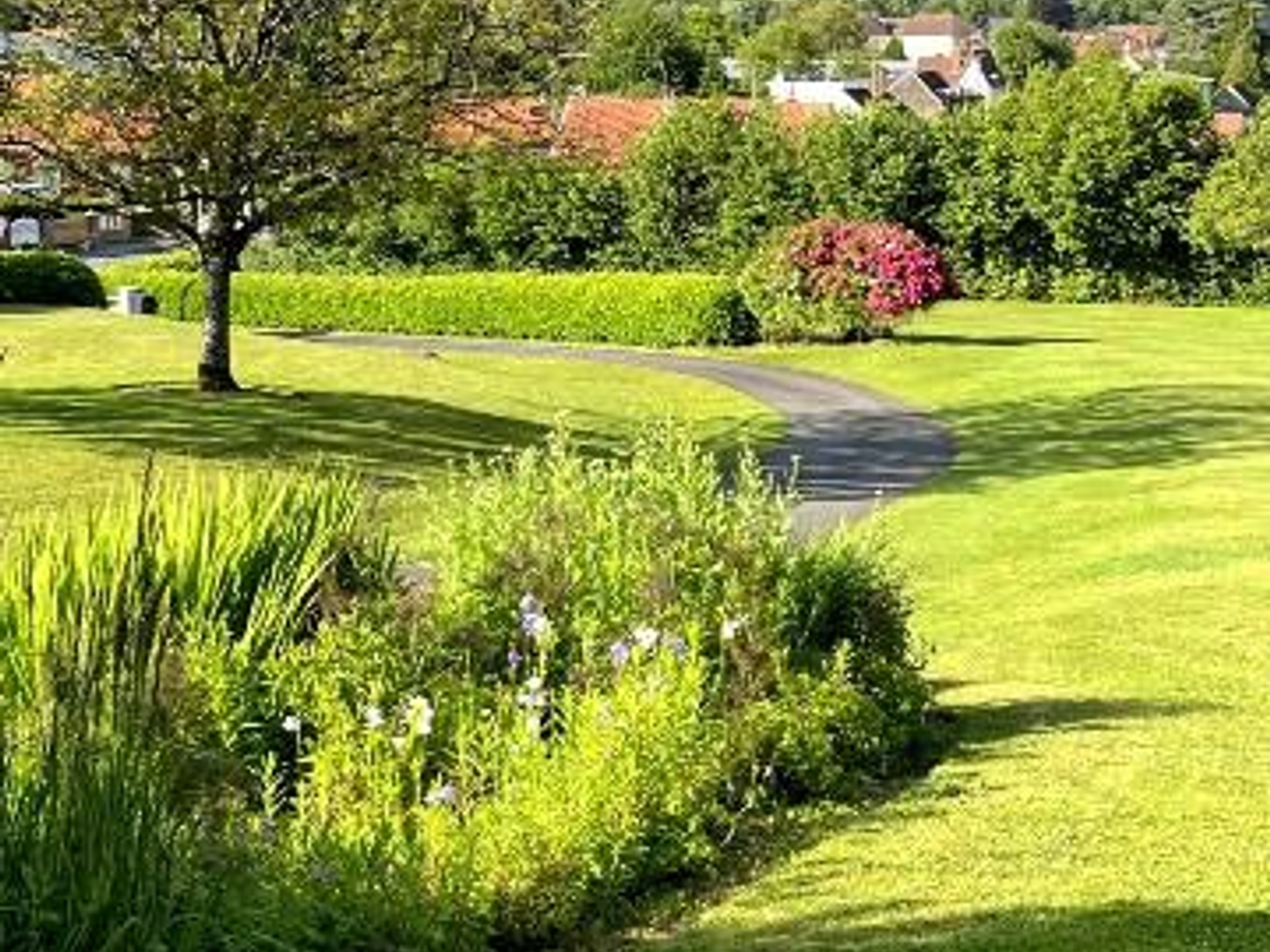 Maison à vendre - 8 pièces - 233m2 - Auxi-Le-Château (62390)
