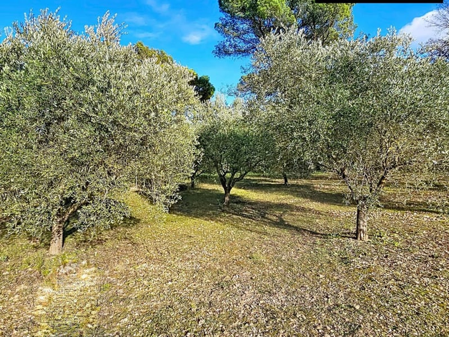 Terrain 725 m²