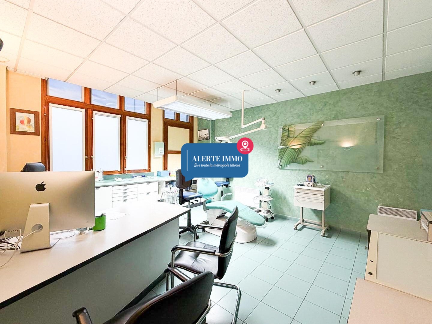 Local commercial 10 pièces 219 m²