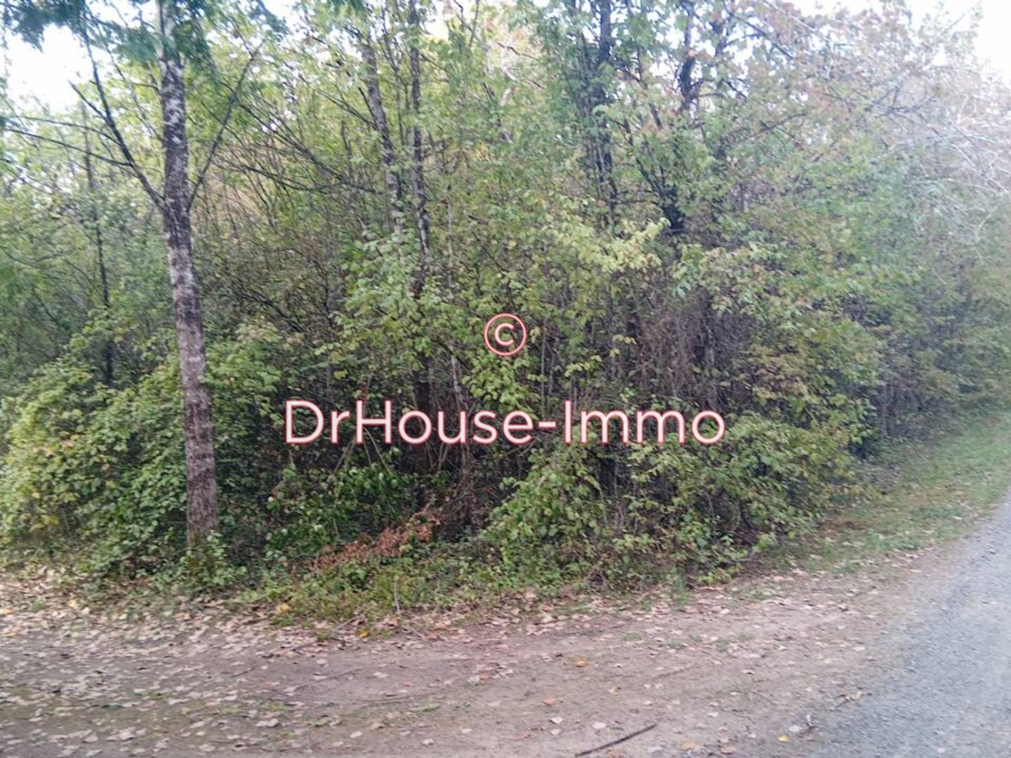 Terrain 10000 m²