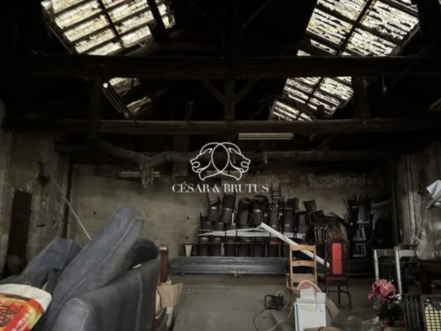 Immobilier Professionnel à vendre Lyon