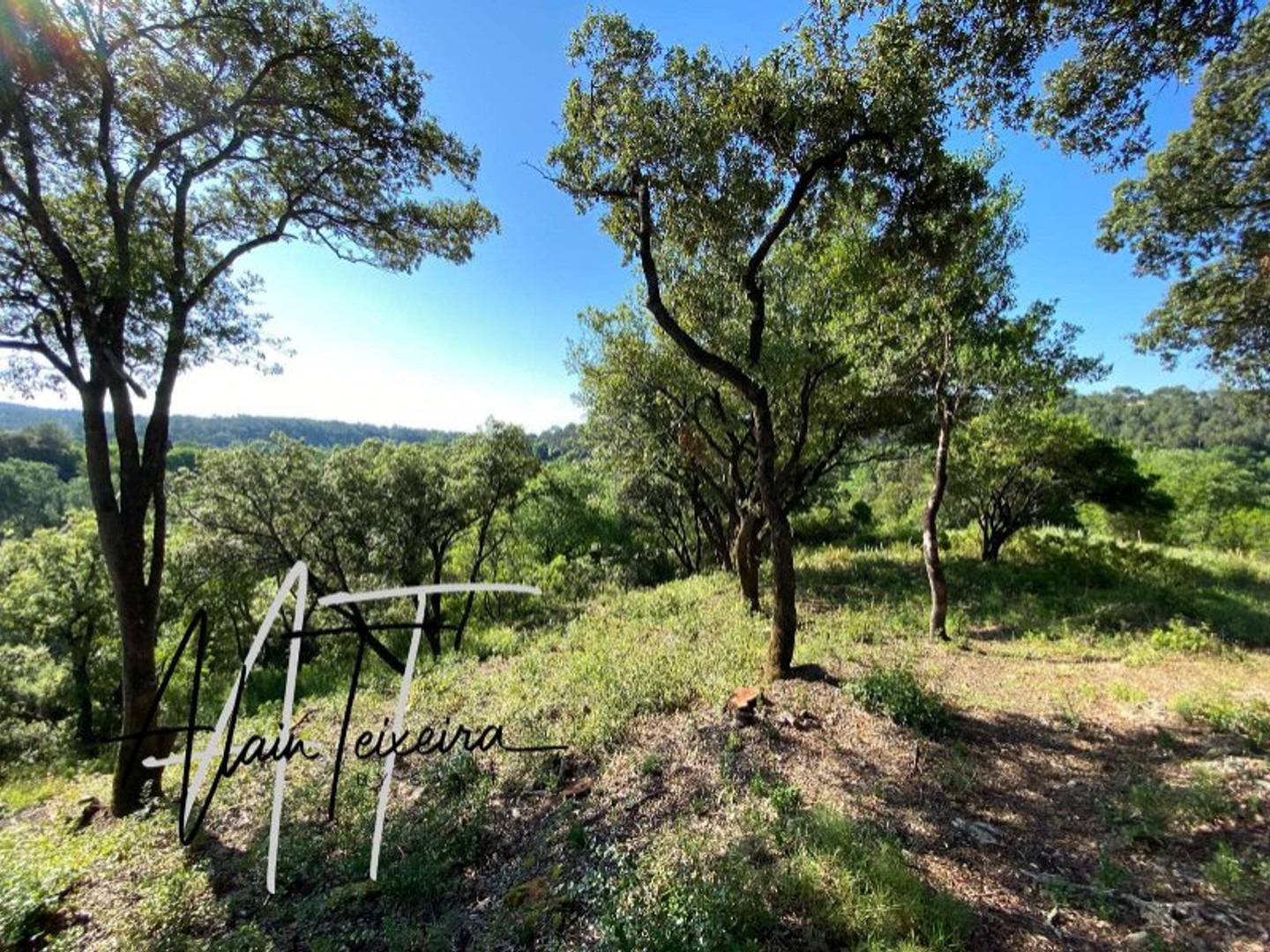 Terrain à vendre - 2060m2 - Lorgues (83510)
