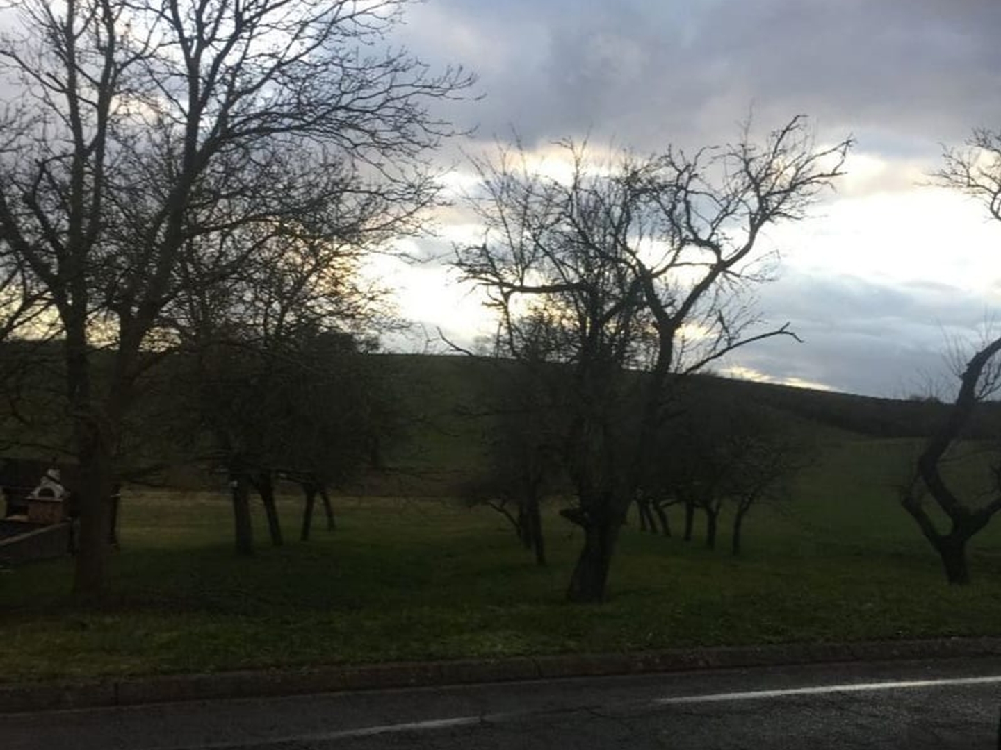 Terrain à vendre - 1845m2 - Velving (57220)