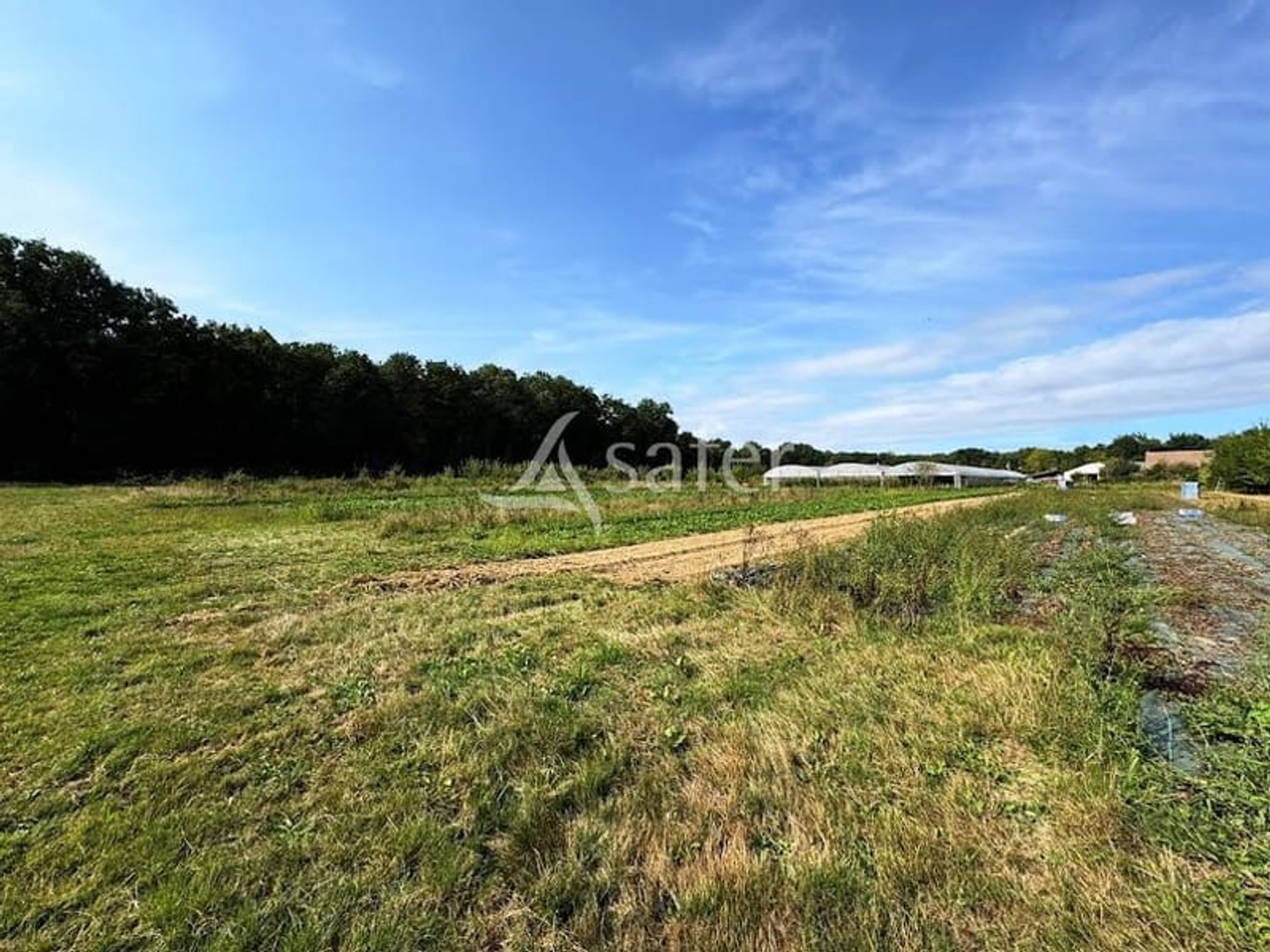 Terrain 41189 m²