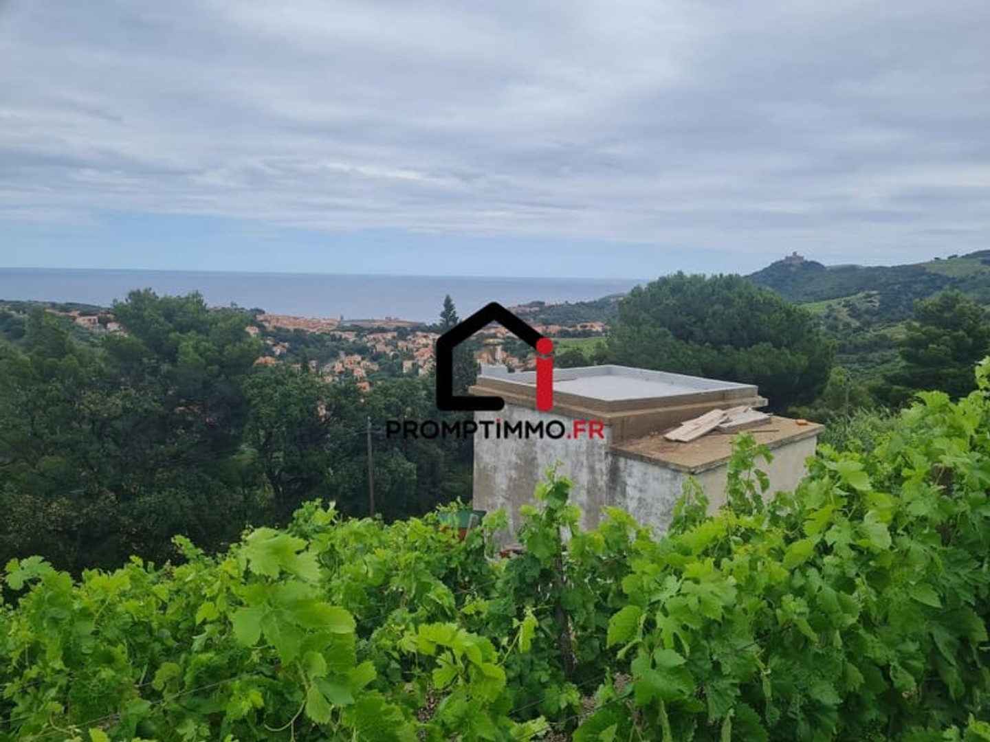 Terrain à vendre - Collioure (66190)