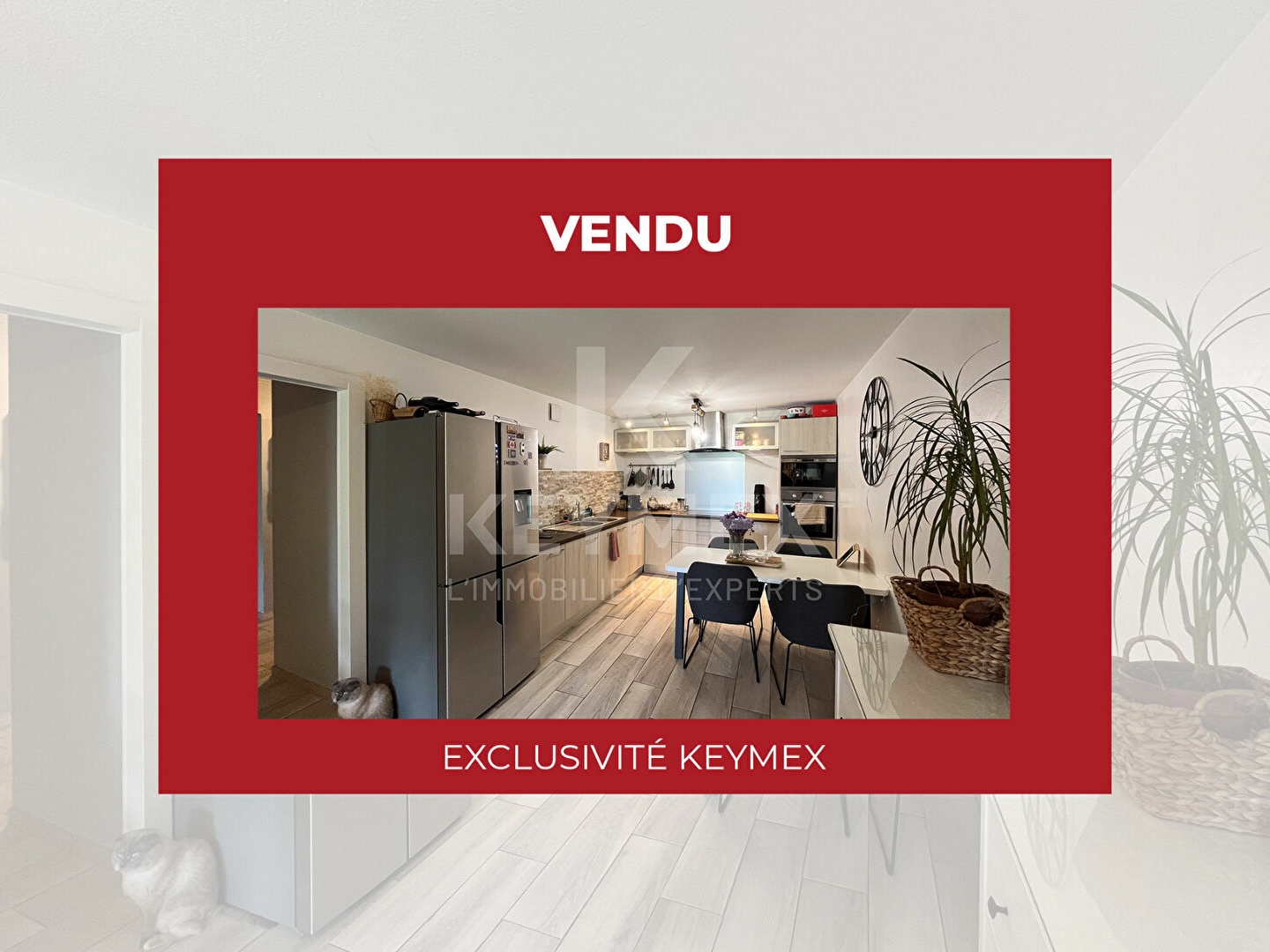 Appartement La Farlède 3 pièce(s)