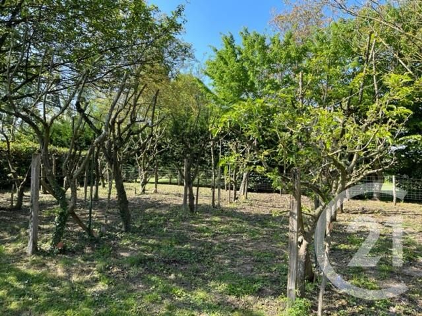 Terrain à vendre - 1670m2 - Naintré (86530)