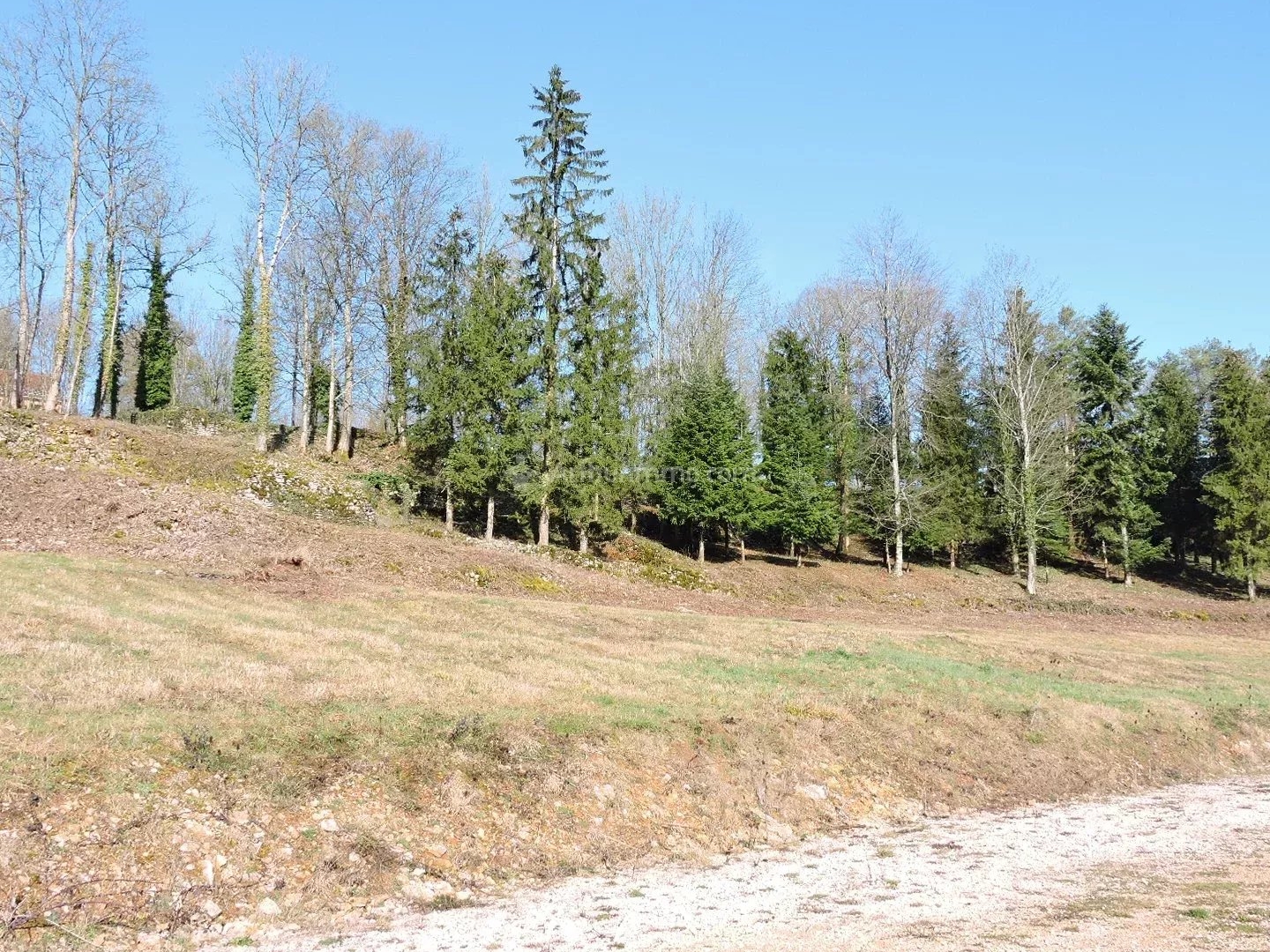 Terrain à vendre - Bourmont-Entre-Me... (52150)