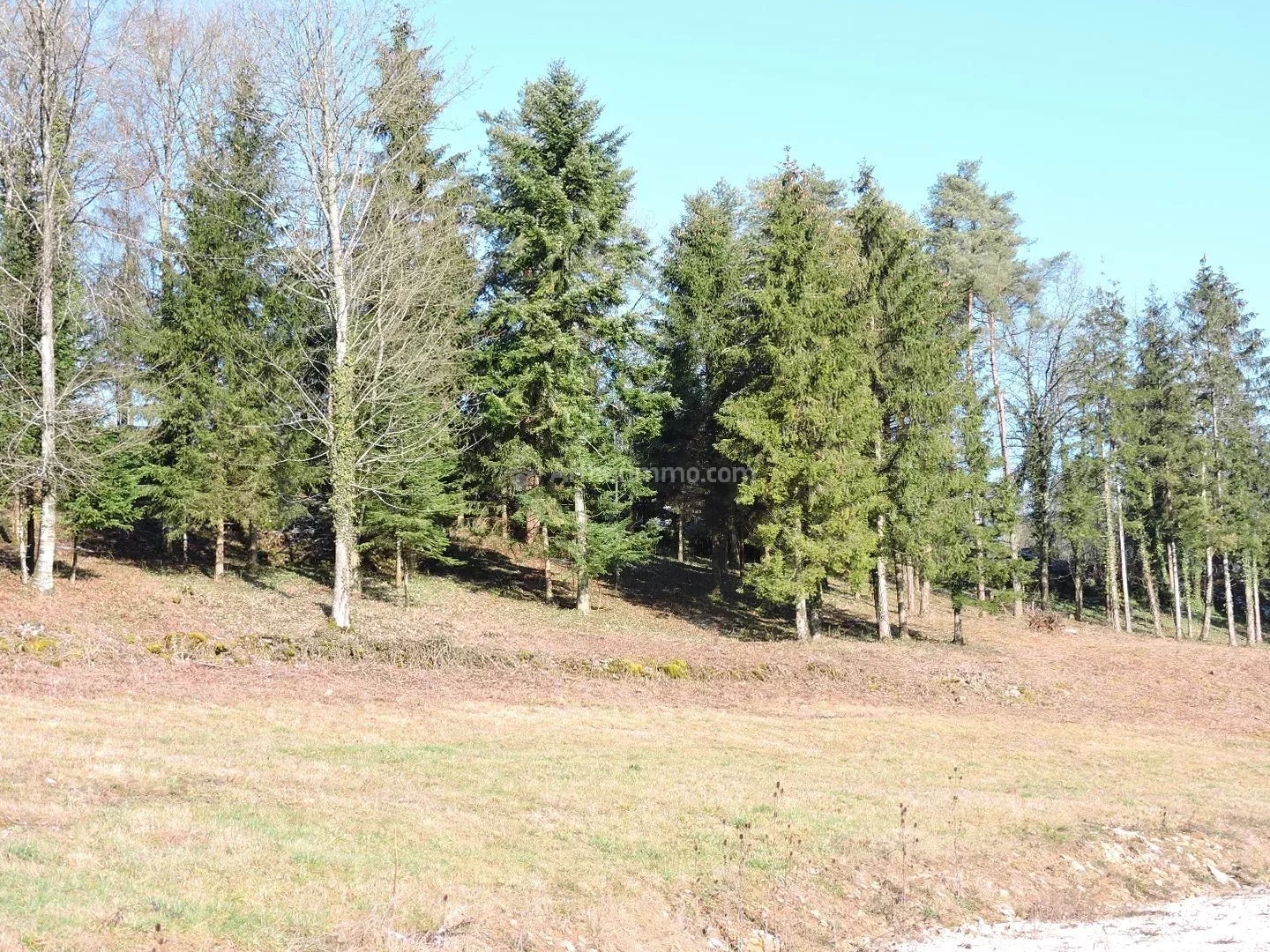 Terrain à vendre - Bourmont-Entre-Me... (52150)