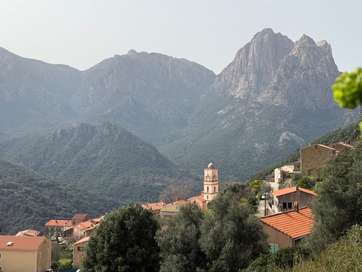 Terrain 1037 m²