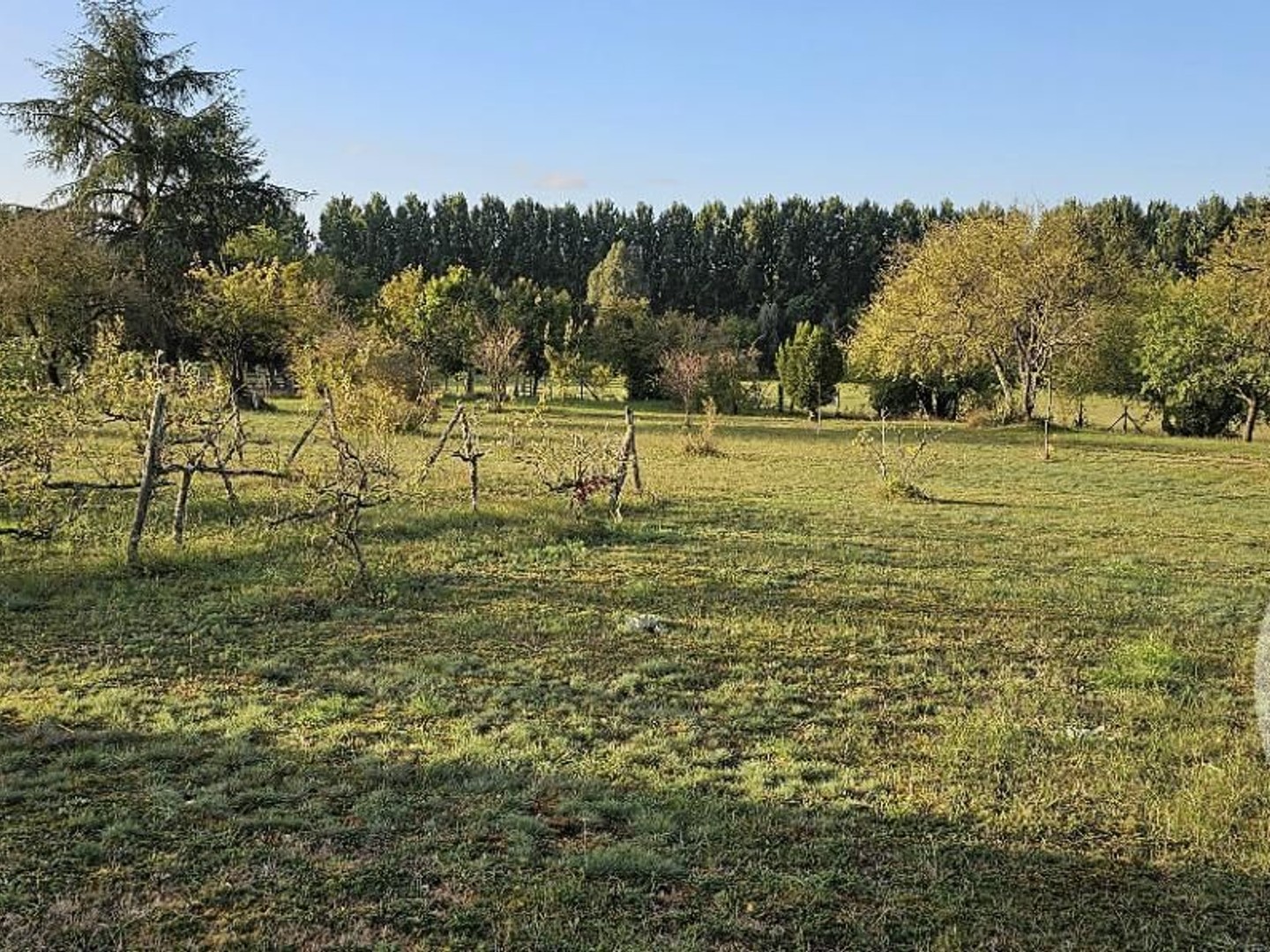 Terrain 3700 m²