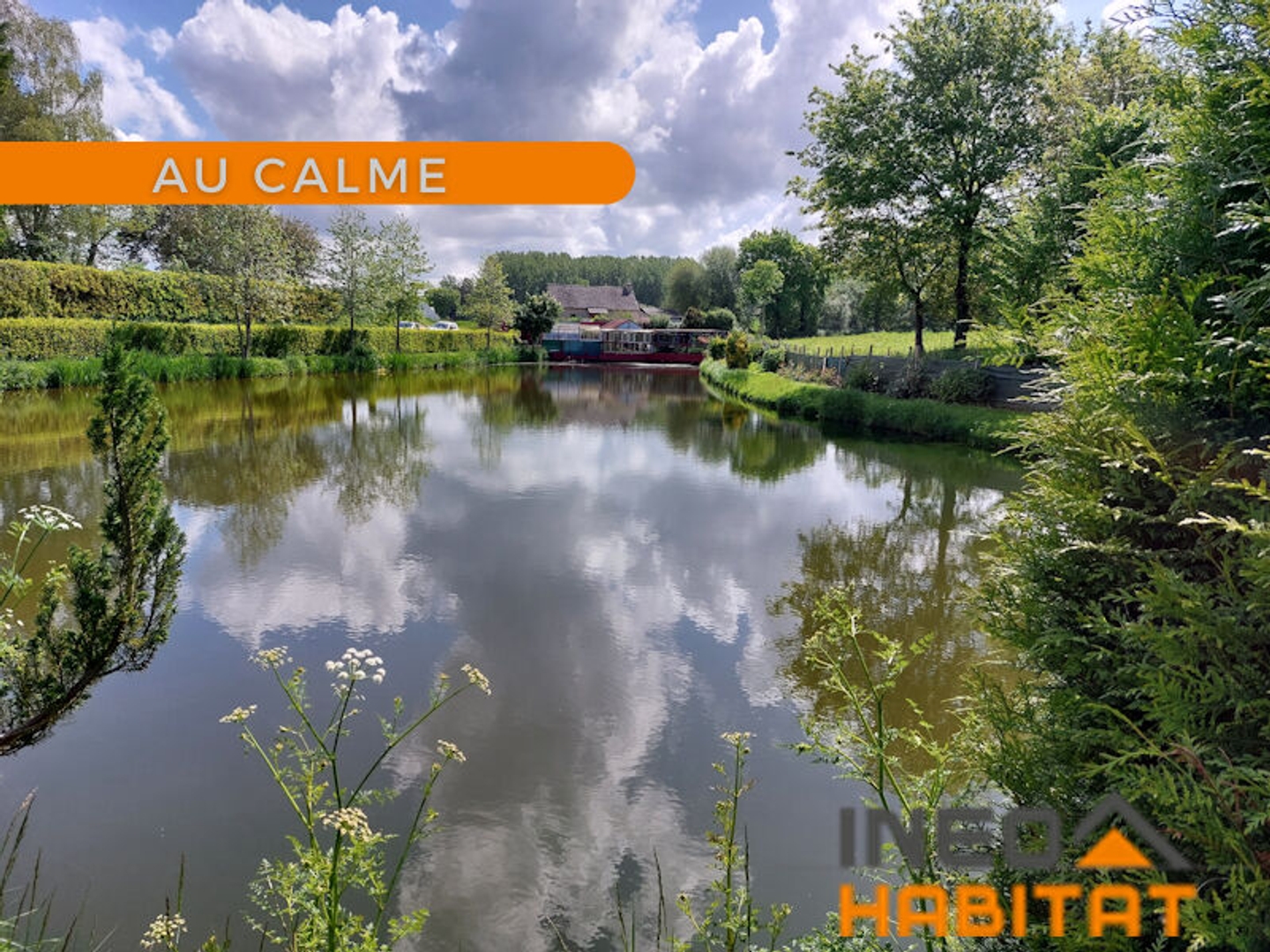 Terrain 3217 m²