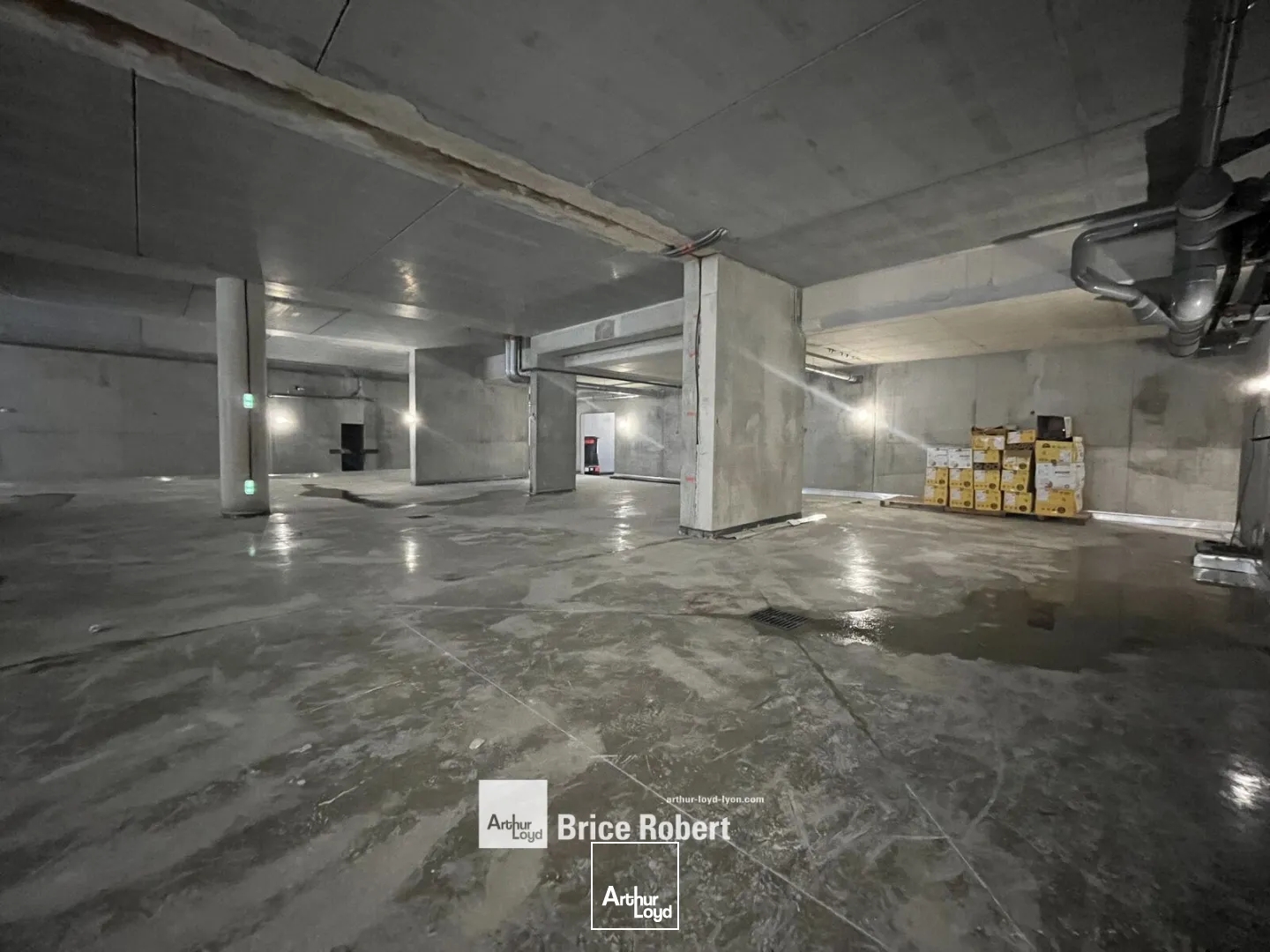 Locaux à vendre - 114m2 - Villeurbanne (69100)