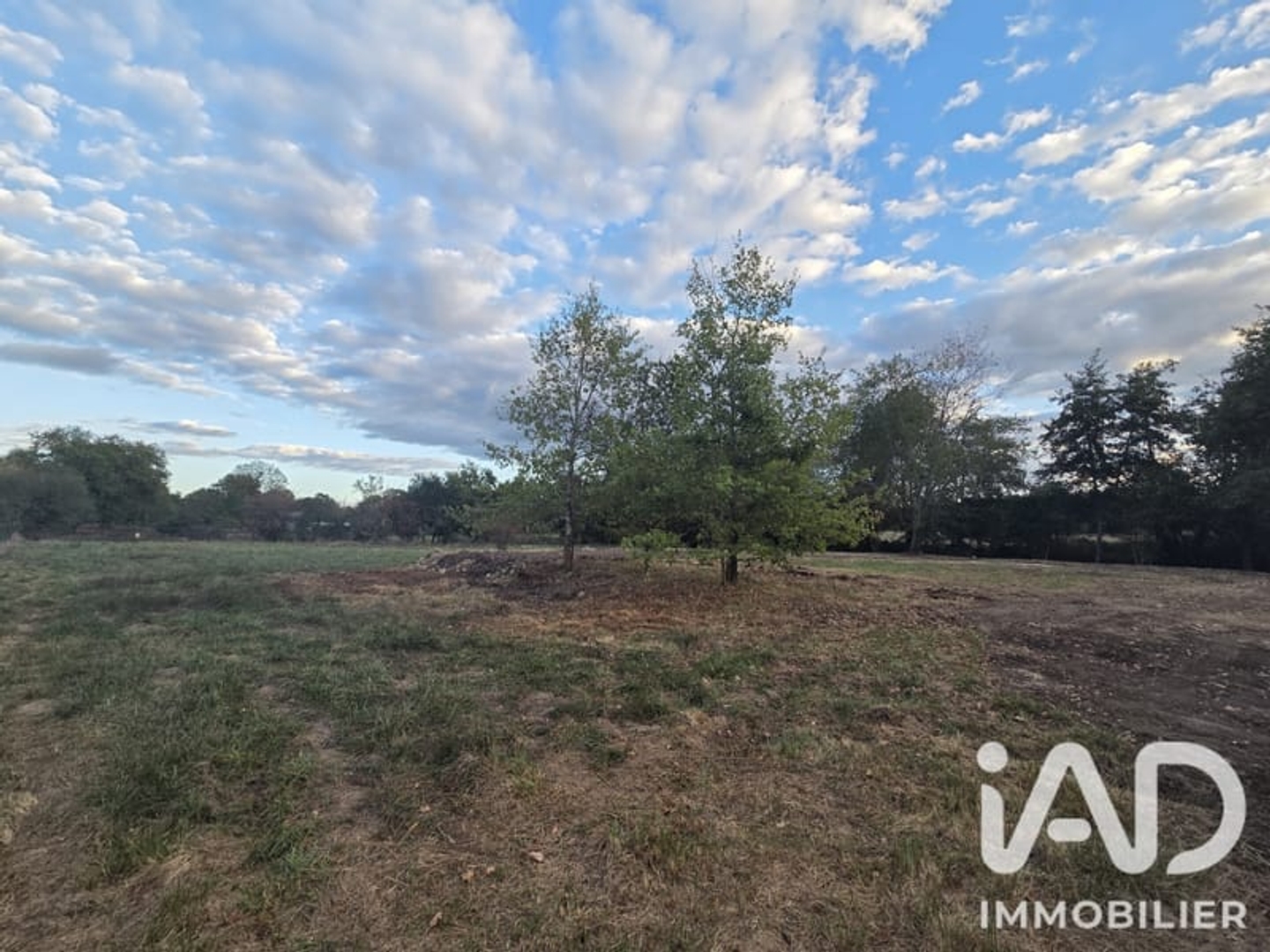 Terrain 3421 m²