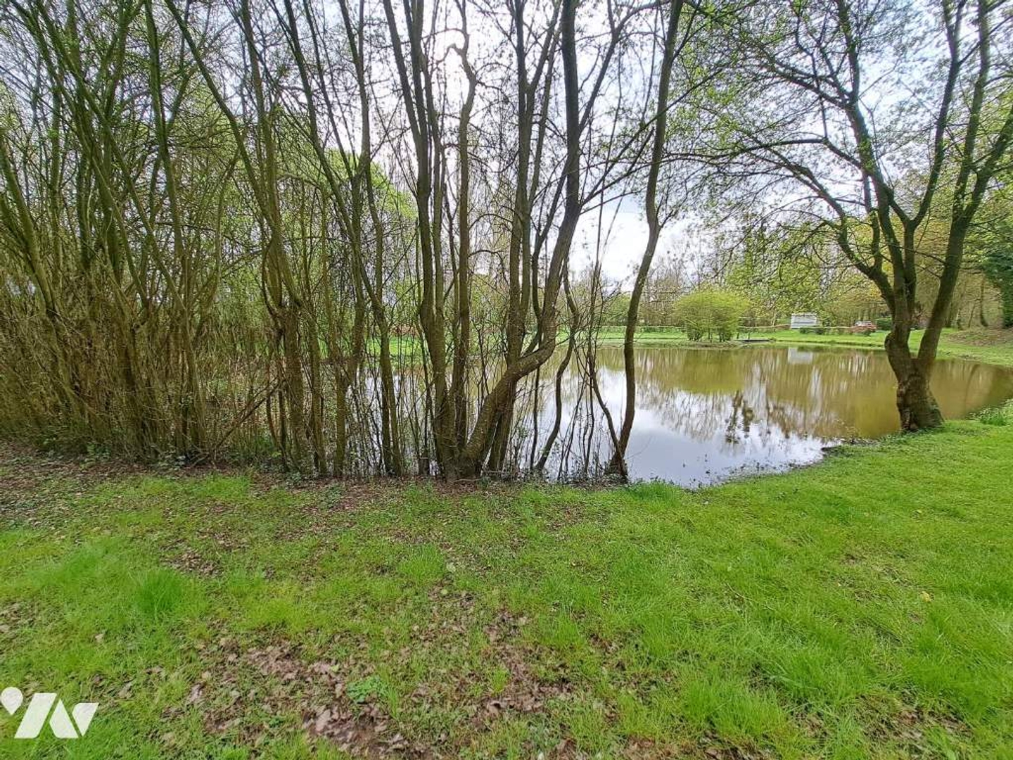 Terrain à vendre - 10000m2 - Prée-D'anjou (53200)