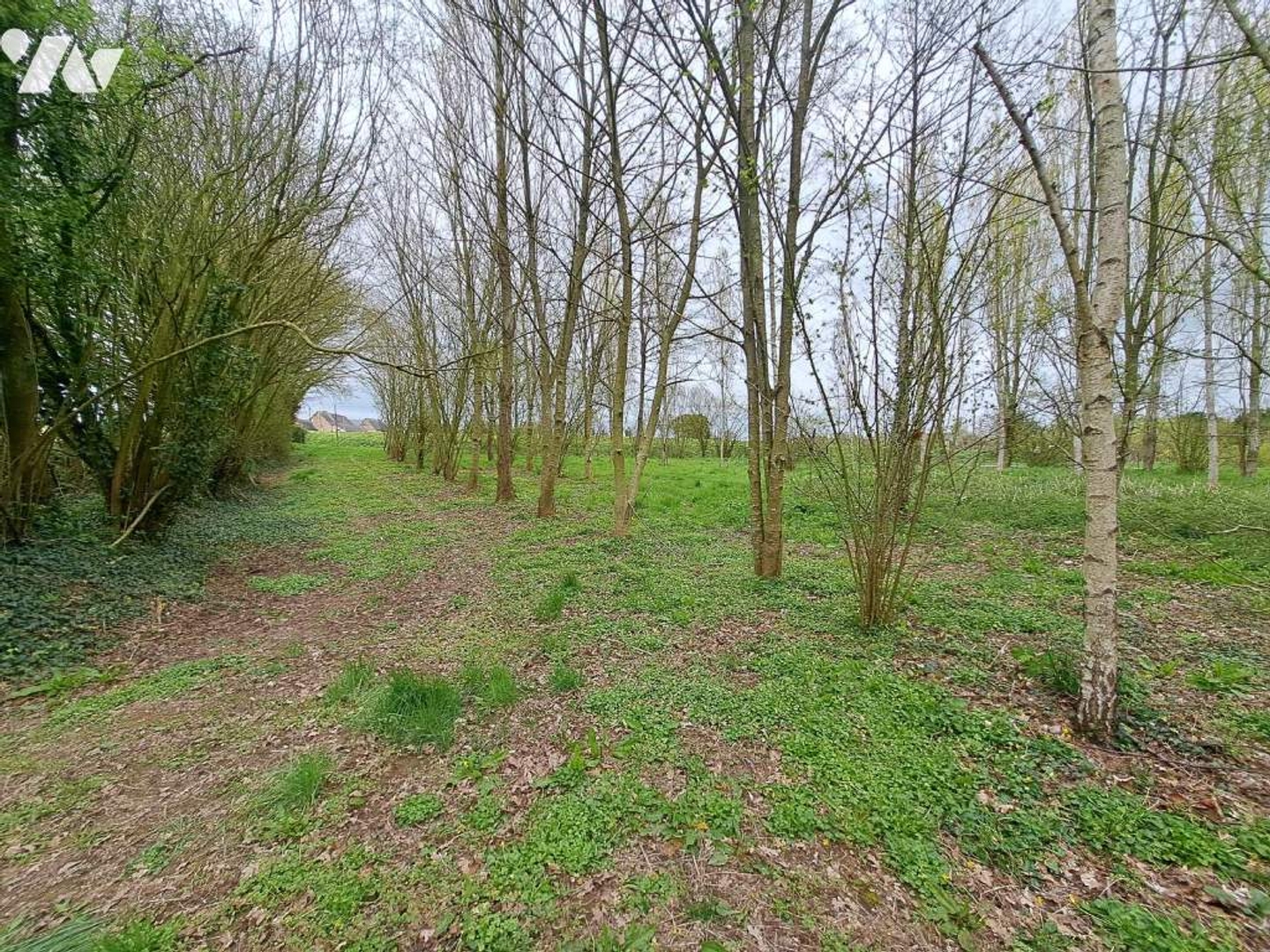 Terrain à vendre - 10000m2 - Prée-D'anjou (53200)