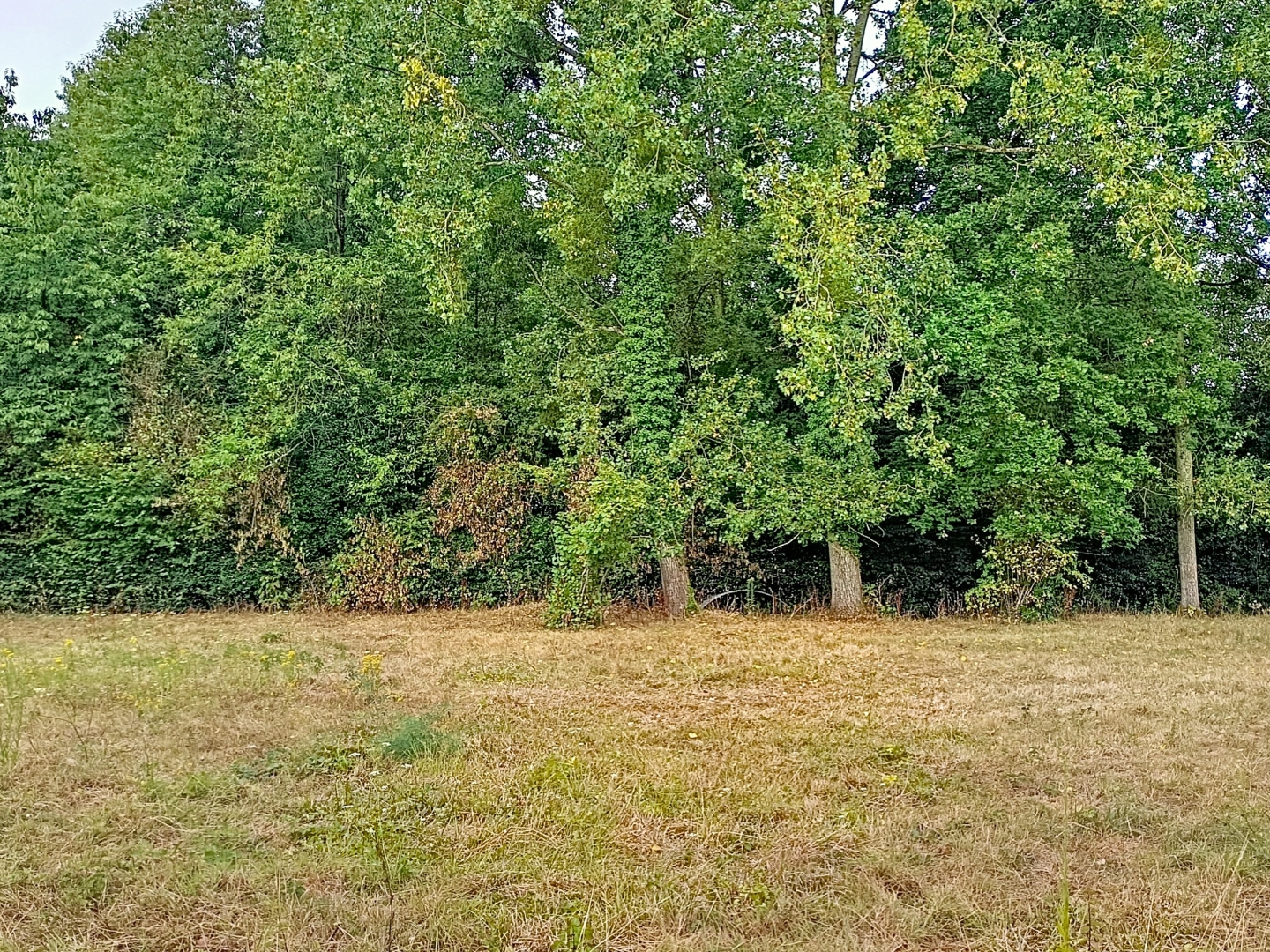 Maison à vendre - 5 pièces - 92m2 - Vironchaux (80150)