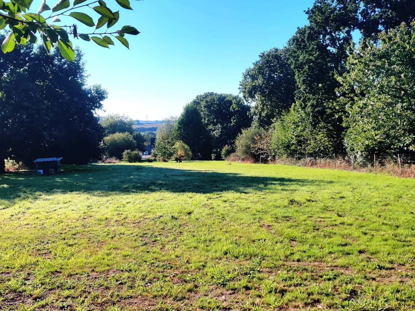 Terrain 2000 m²
